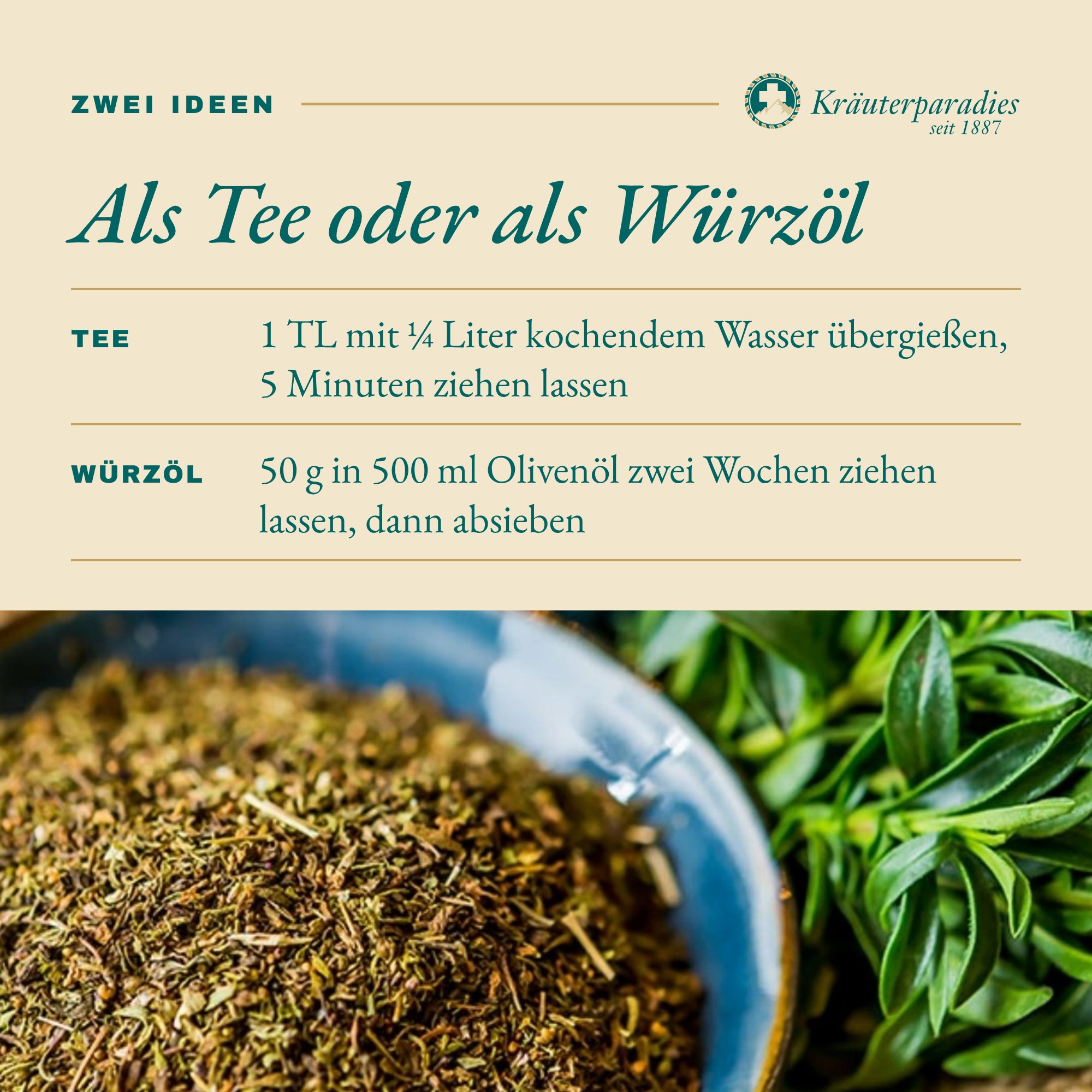 Bohnenkraut: Als Tee oder als Würzöl