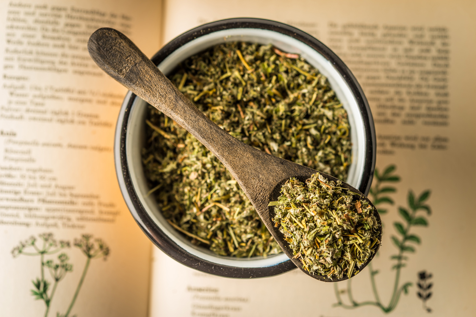 Anserine_Gaensefingerkraut-