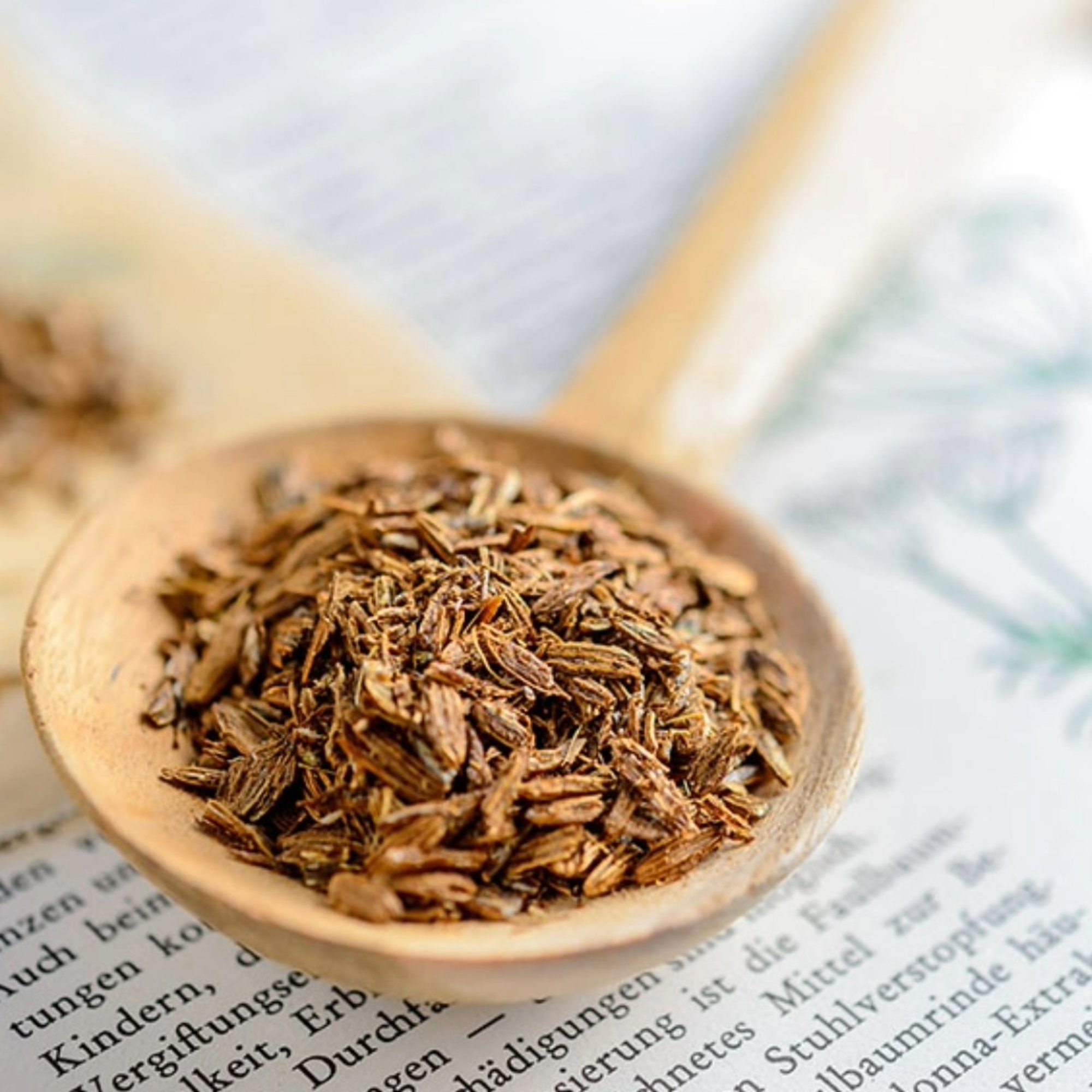 Fenchel Schrot, 20 g – Kräuterparadies seit 1887