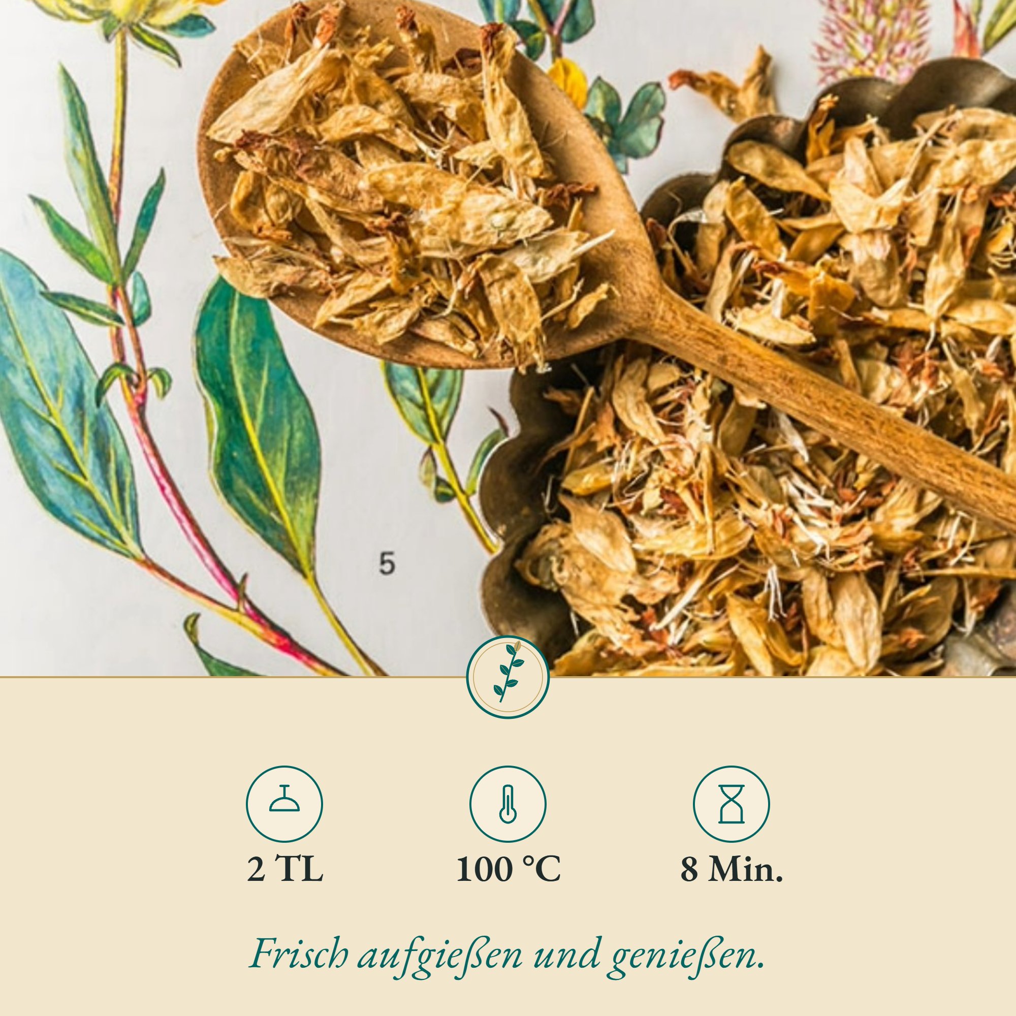 Zubereitung Wundkleeblüten: 2 TL, 100 °C, 8 Min.