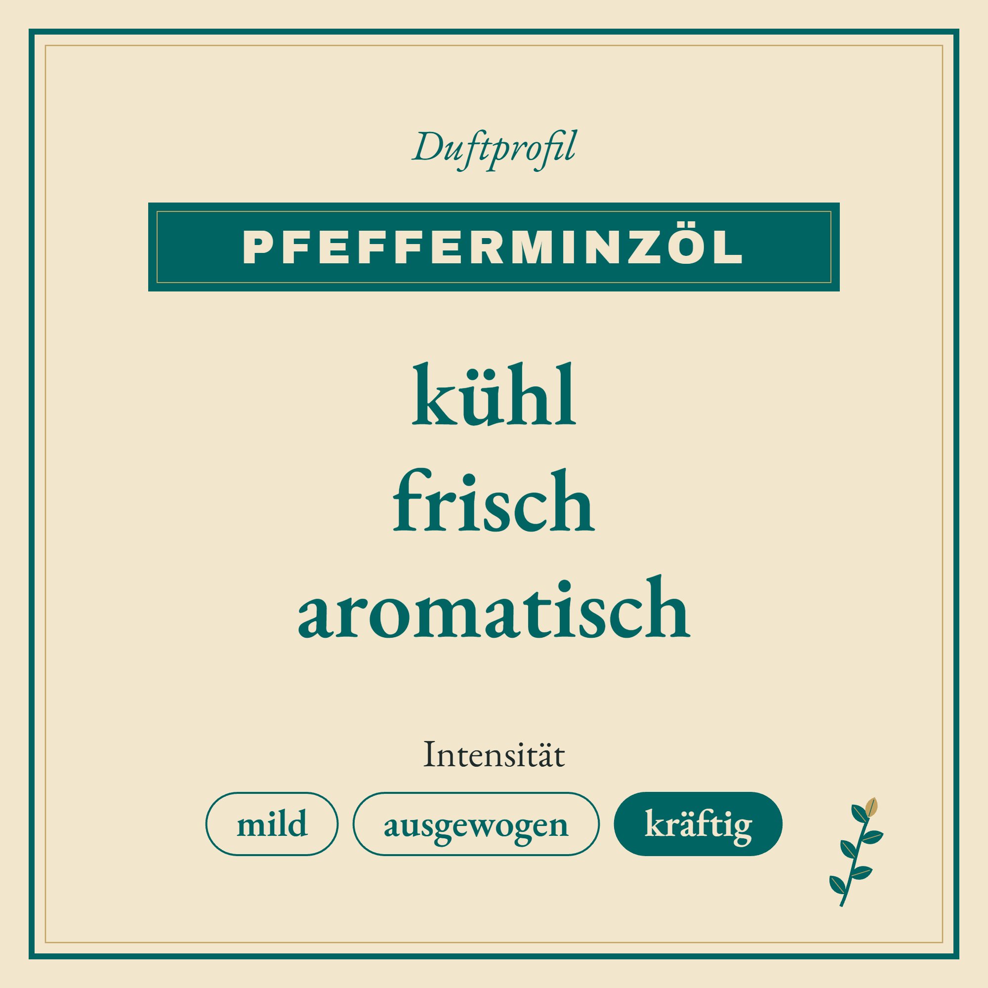 Duftprofil Pfefferminzöl: kühl, frisch und aromatisch