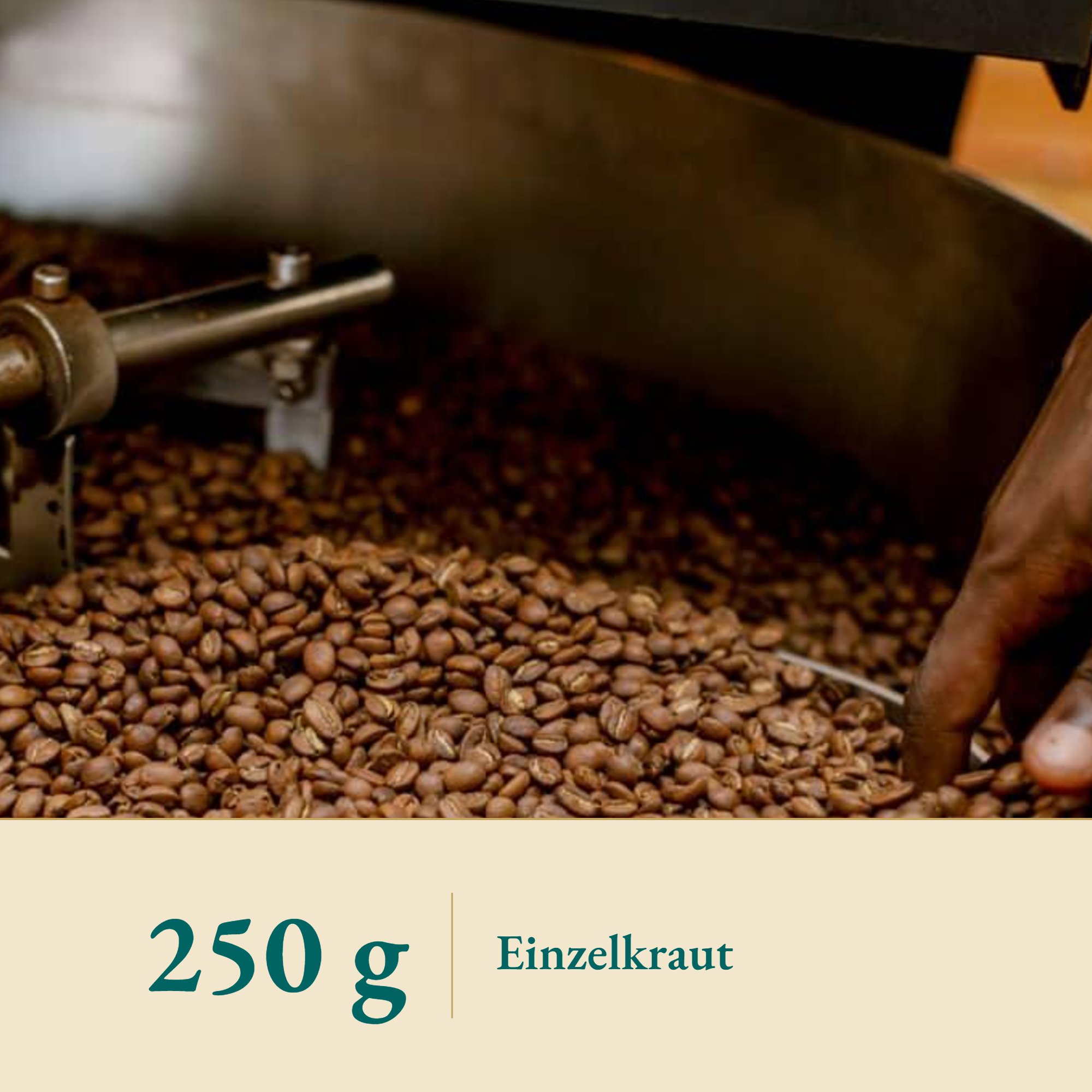 Nahaufnahme Eichelkaffee geröstet – Kräuterparadies seit 1887
