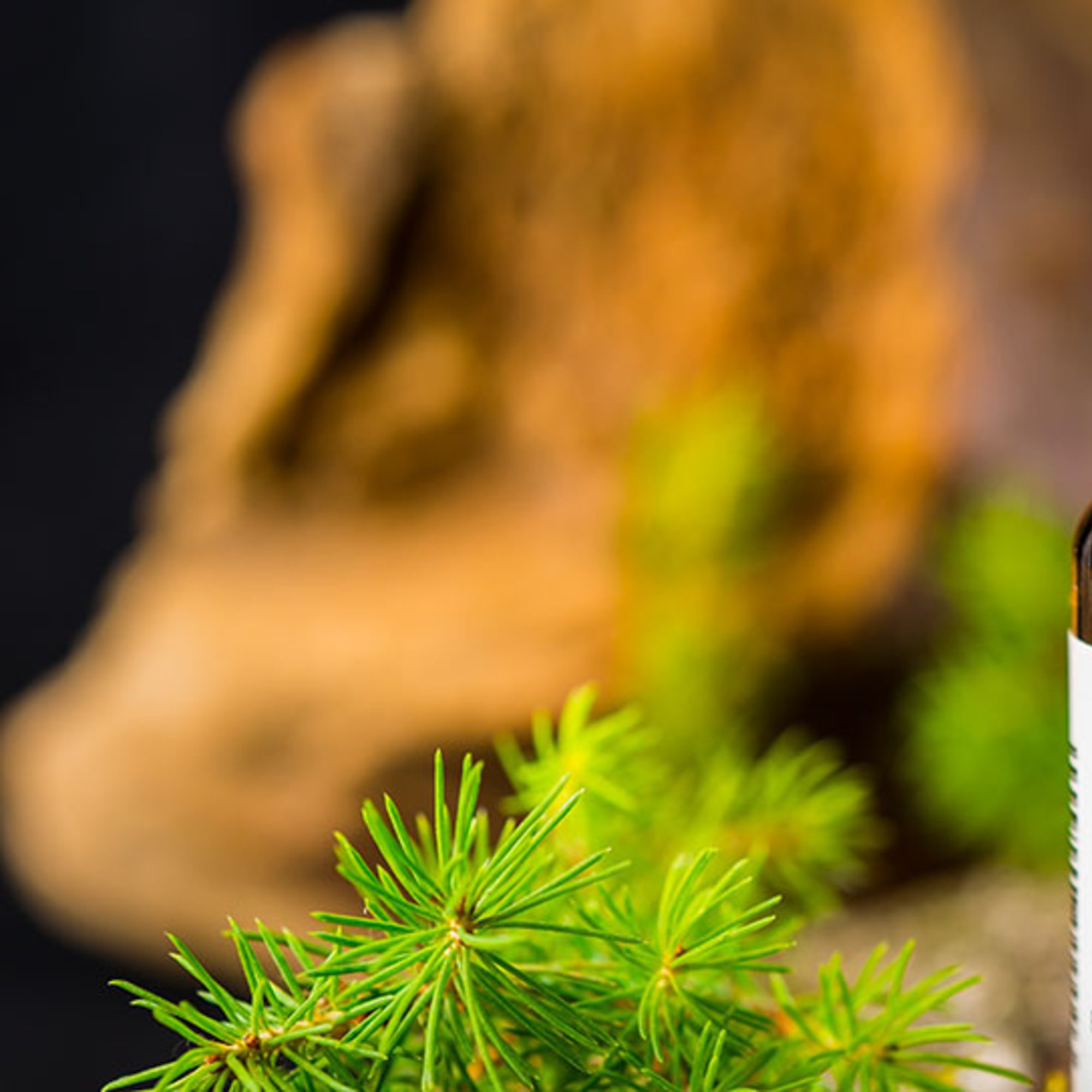 Saunaaufguß, 20 ml – Kräuterparadies seit 1887