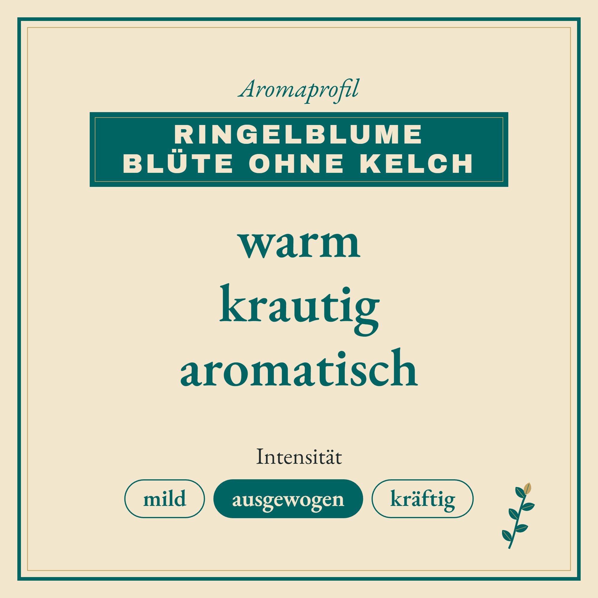 Aromaprofil Ringelblume Blüte ohne Kelch: warm, krautig und aromatisch