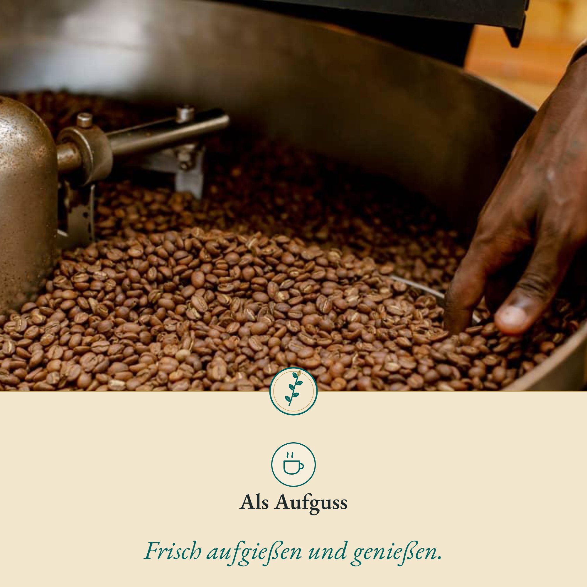 Anwendung Eichelkaffee geröstet: als Aufguss