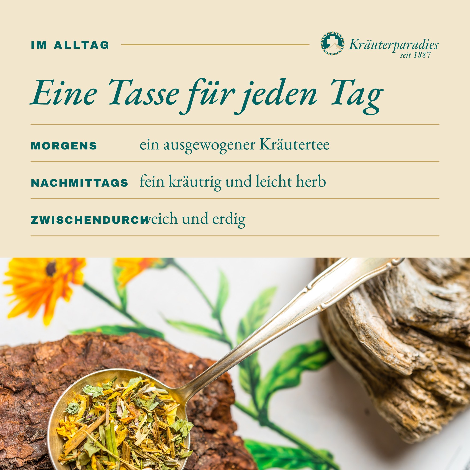 Haustee Lym: Eine Tasse für jeden Tag