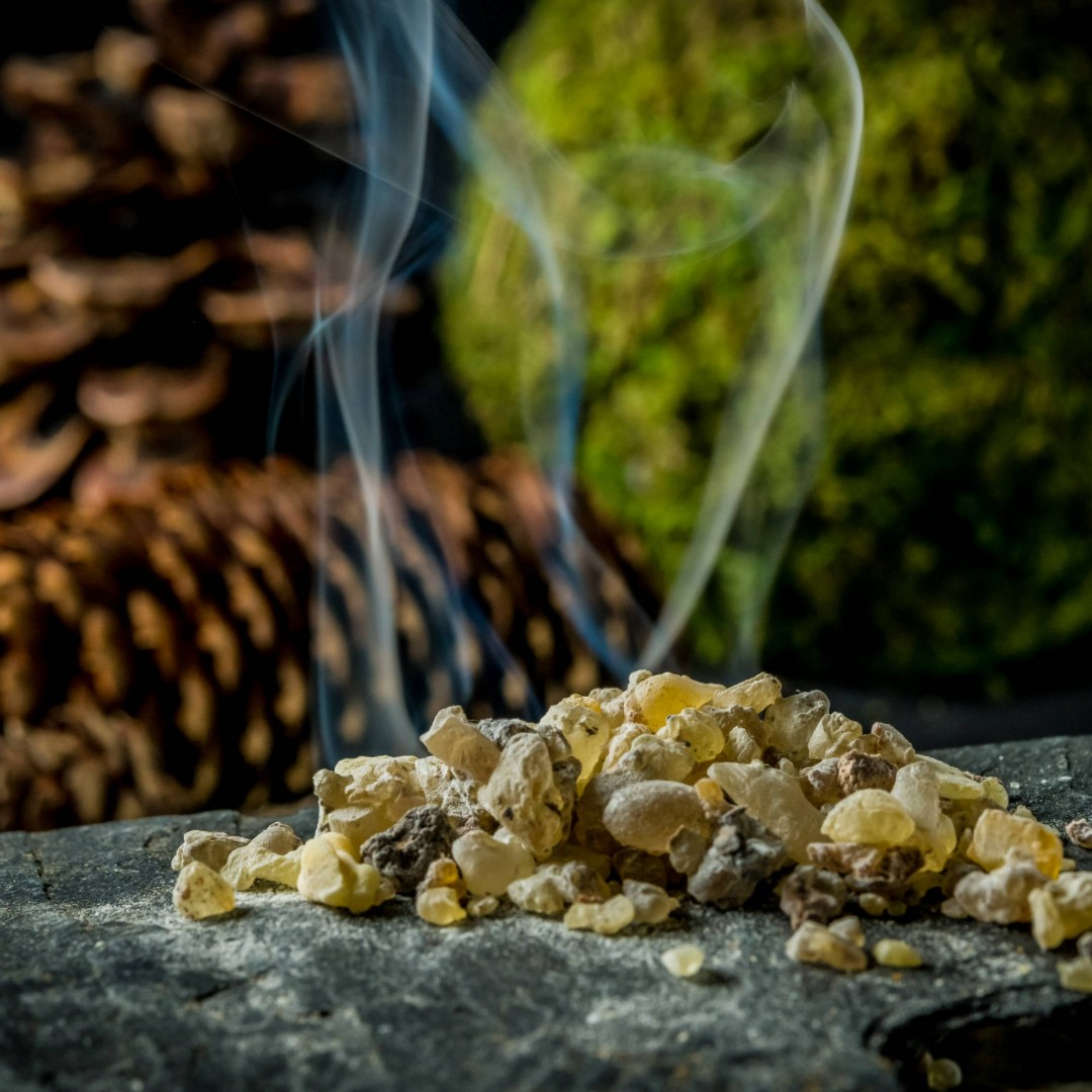 Weihrauch India Boswellia