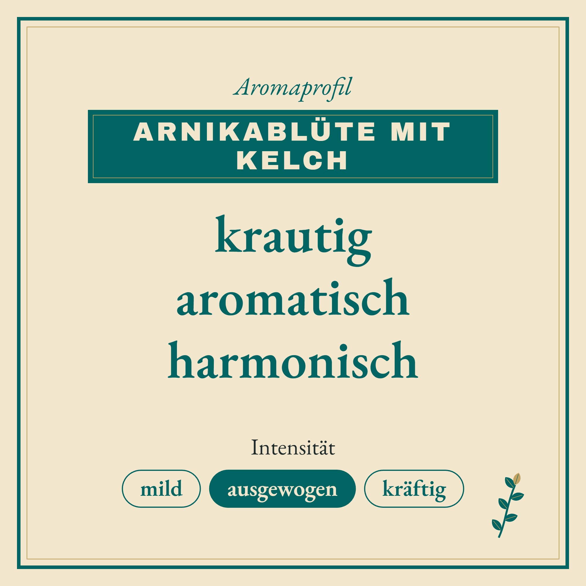 Aromaprofil Arnikablüte mit Kelch: krautig, aromatisch und harmonisch