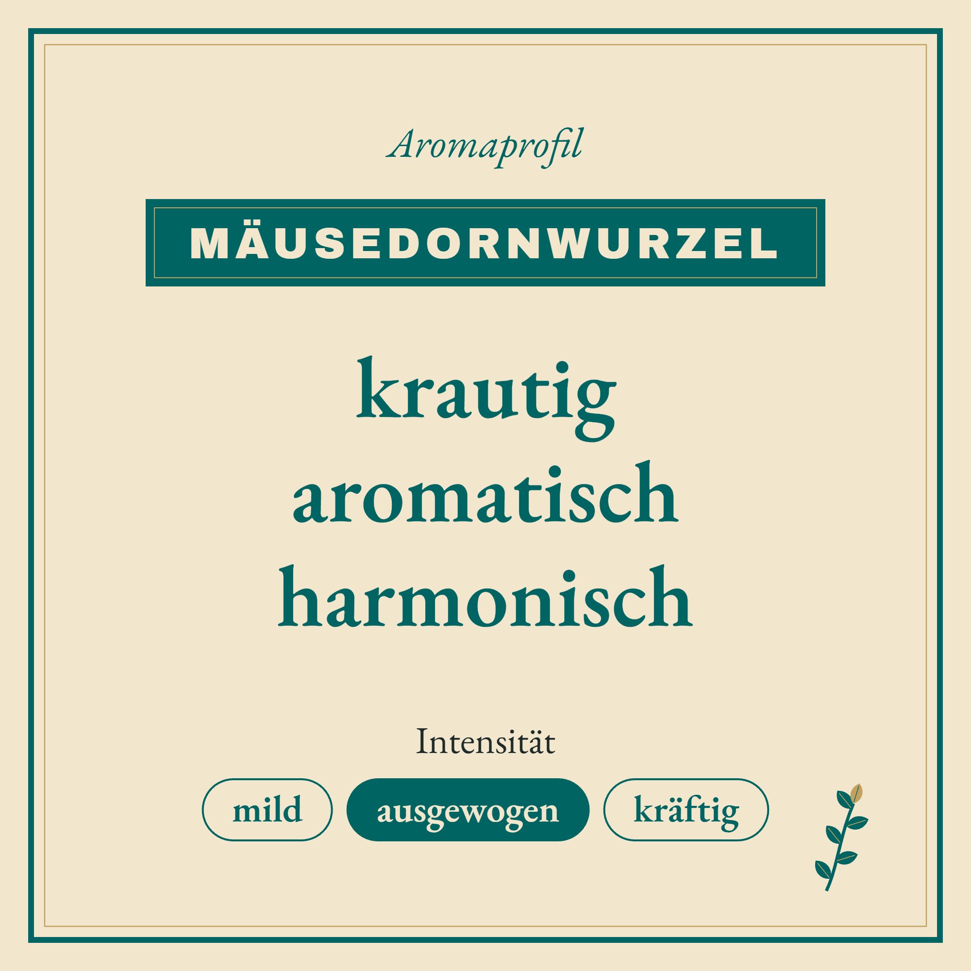 Aromaprofil Mäusedornwurzel: krautig, aromatisch und harmonisch