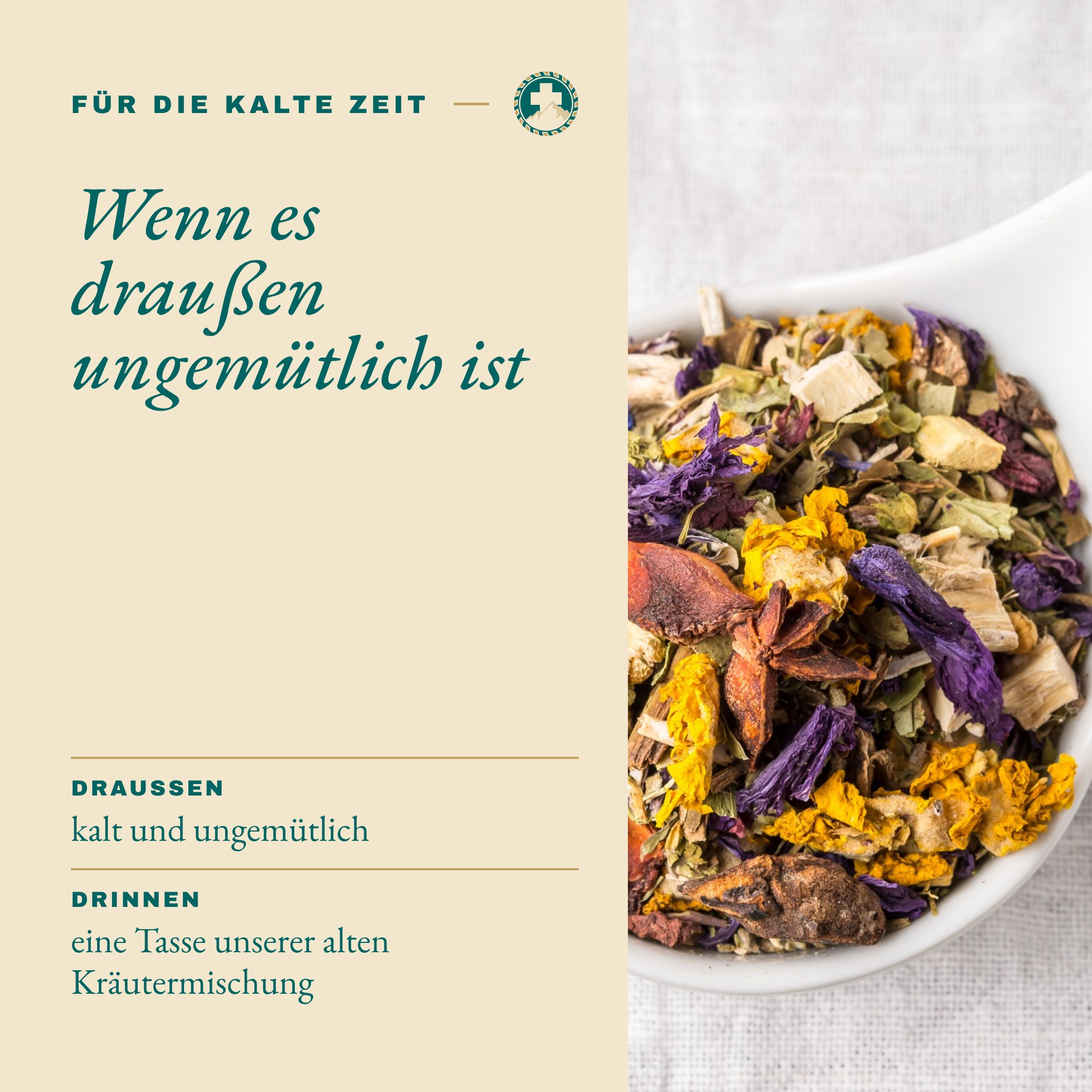 Alle Wetter Tee Für die kalte Zeit: Wenn es draußen ungemütlich ist