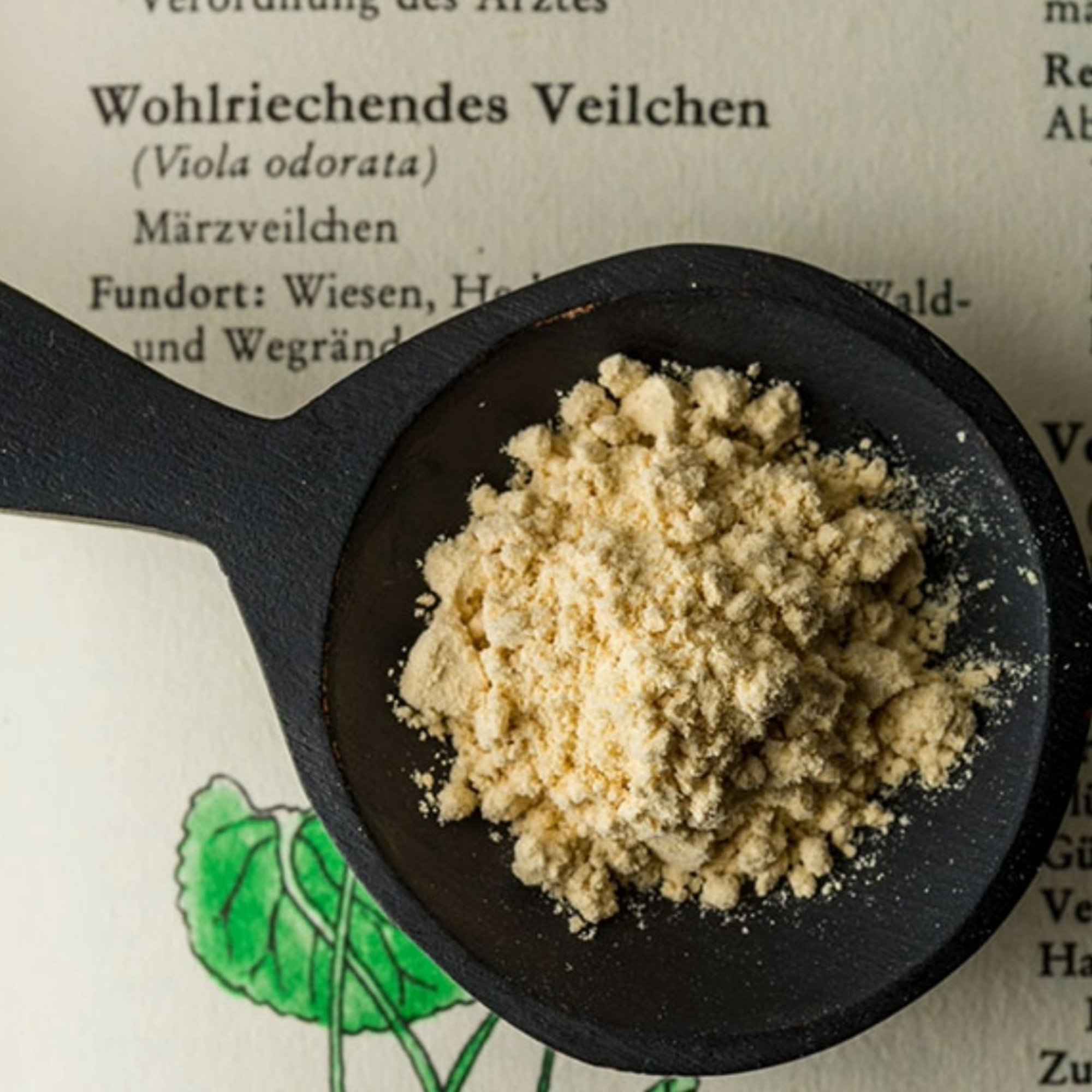 Iriswurzel Plv./Veilchenwurzel Plv., 20 g – Kräuterparadies seit 1887