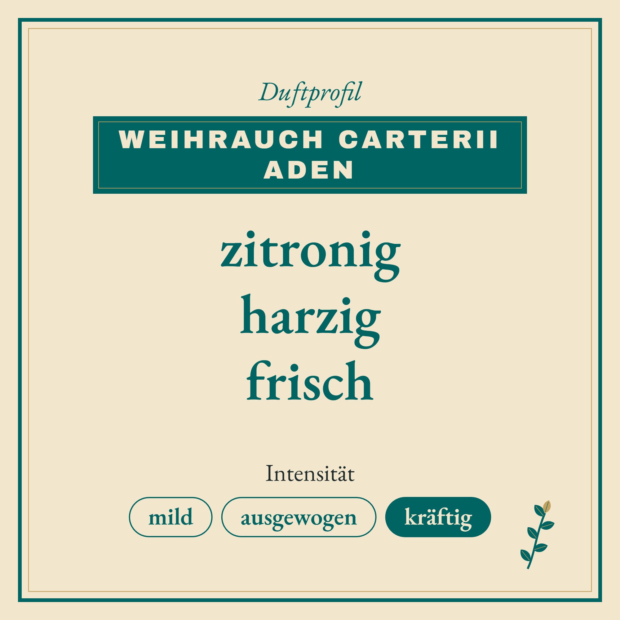 Duftprofil Weihrauch Carterii Aden: zitronig, harzig und frisch
