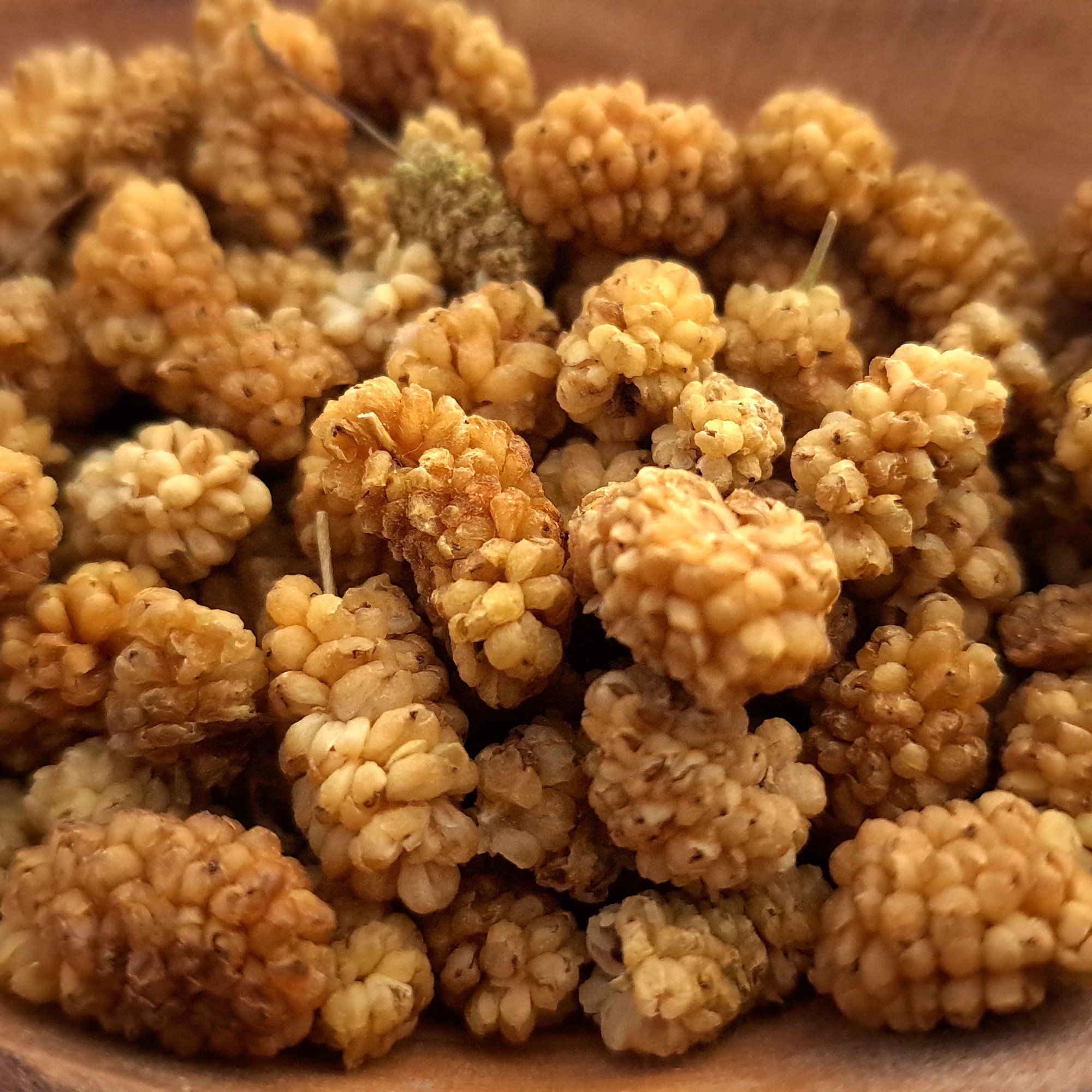 Maulbeeren weiss, 100 g – Kräuterparadies seit 1887