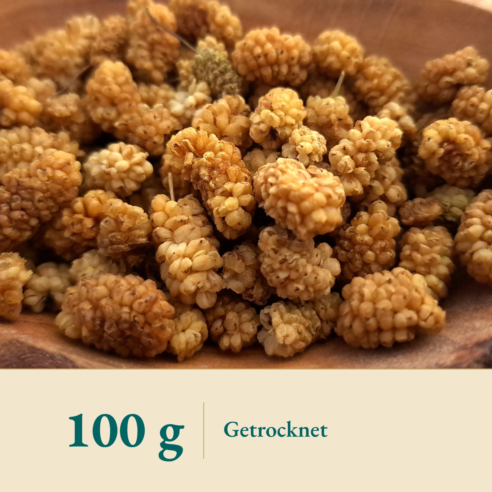 Nahaufnahme Maulbeeren weiss – Kräuterparadies seit 1887