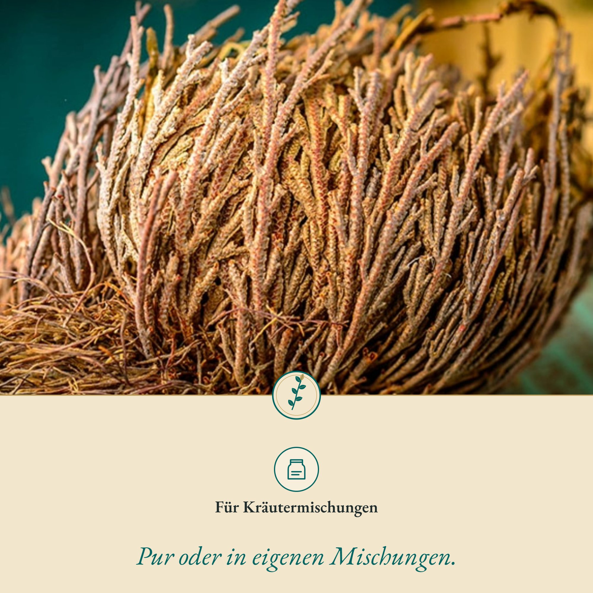 Anwendung Rose v. Jericho ganz: für Kräutermischungen
