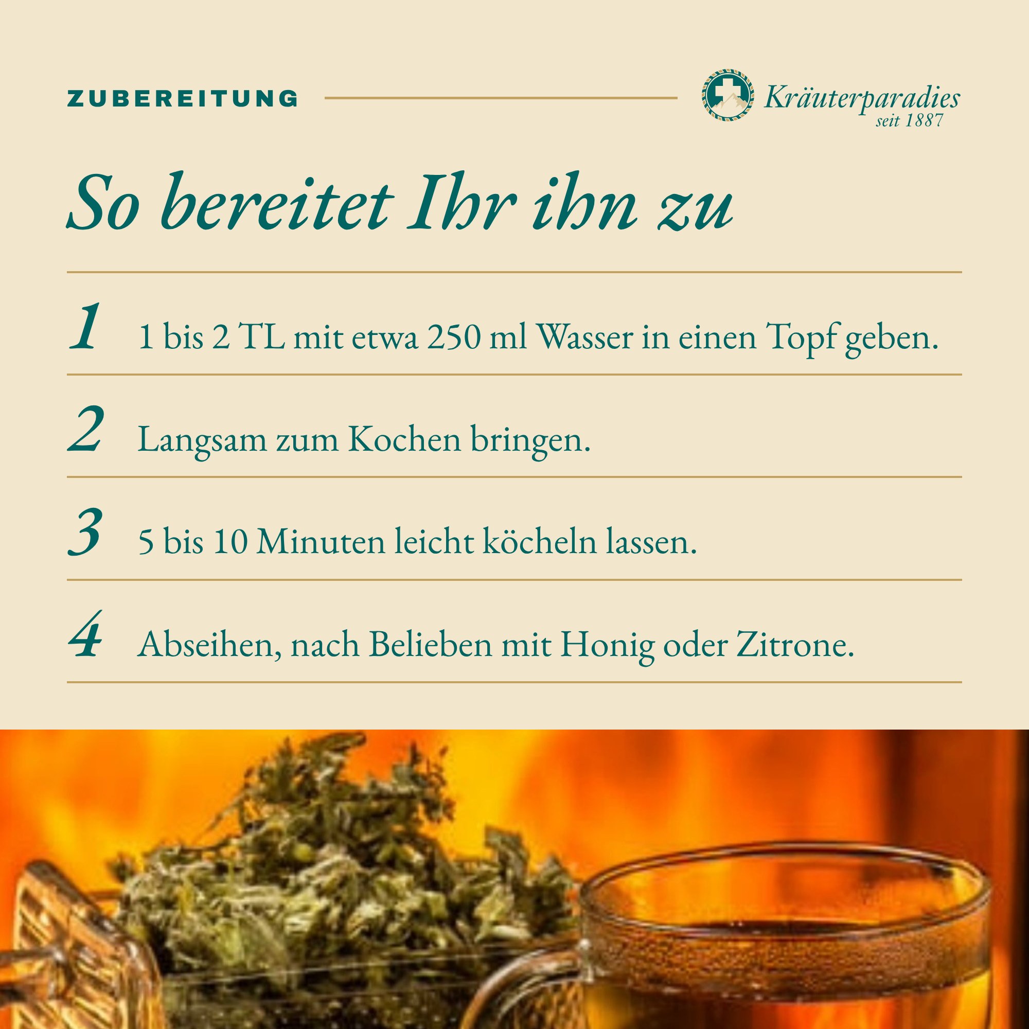 Griechischer Bergtee: So bereitet Ihr ihn zu