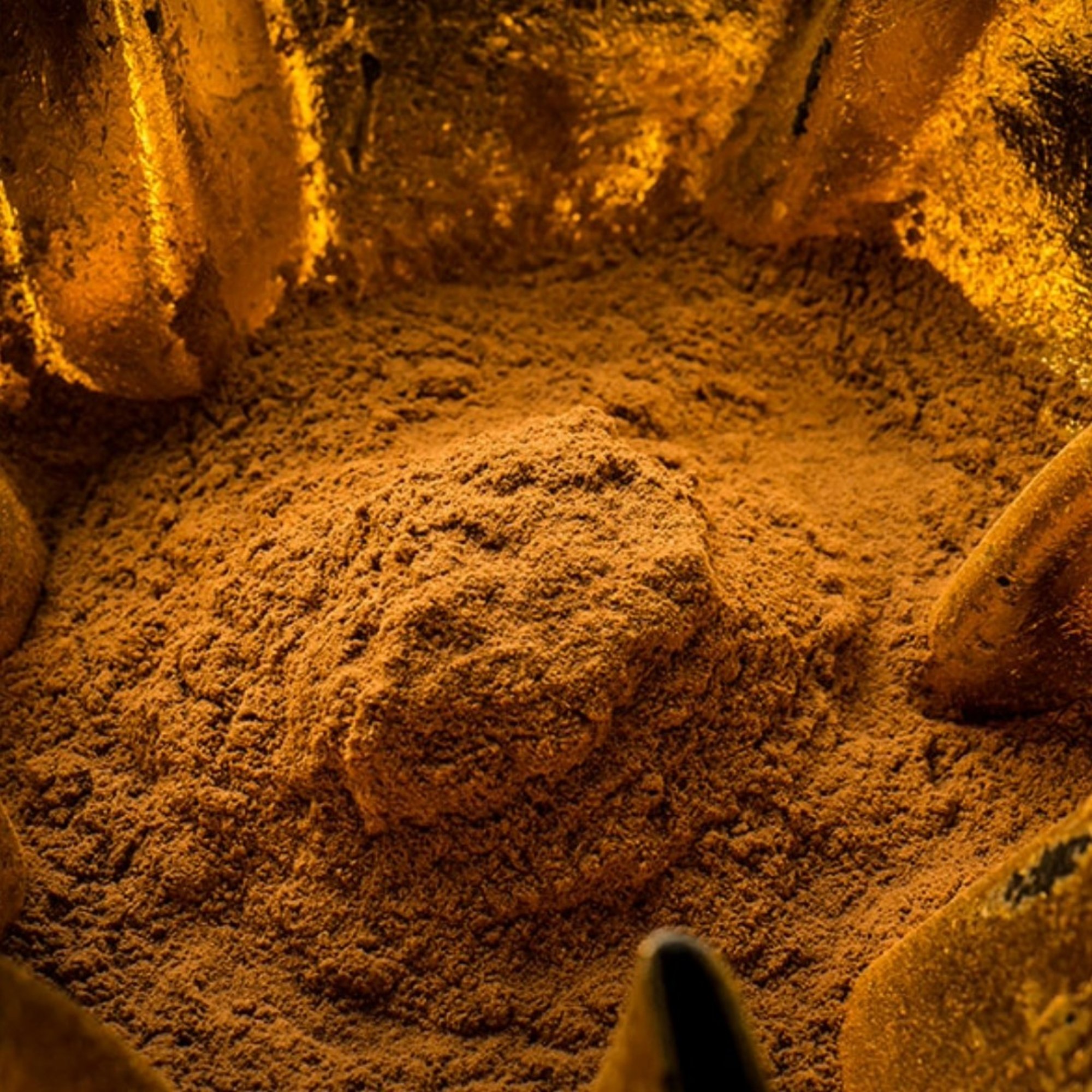 Eichenrinden Pulver, 20 g – Kräuterparadies seit 1887