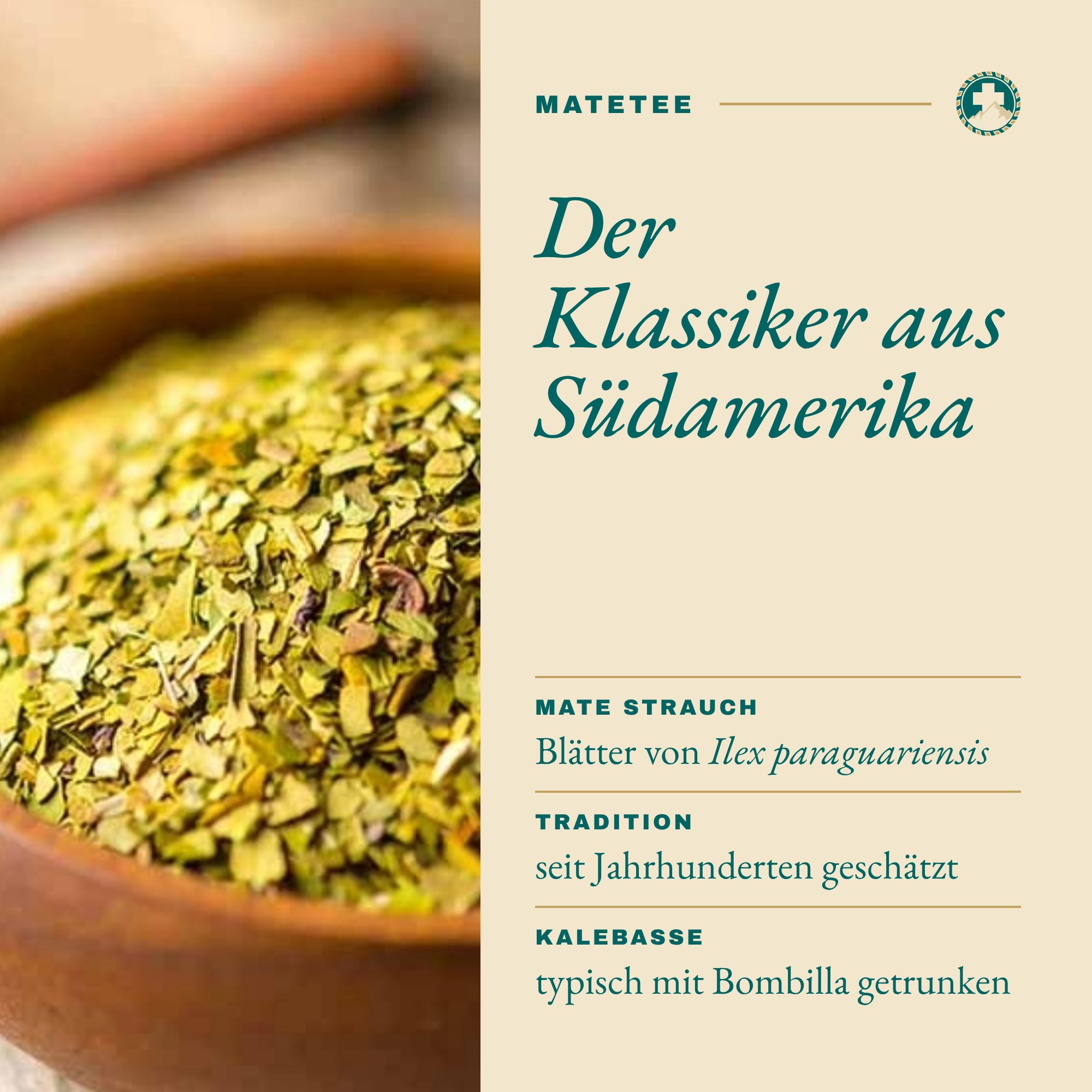 Matetee grün: Der Klassiker aus Südamerika