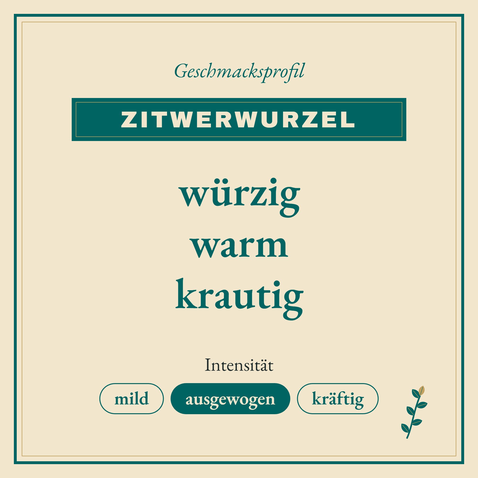 Geschmacksprofil Zitwerwurzel: würzig, warm und krautig