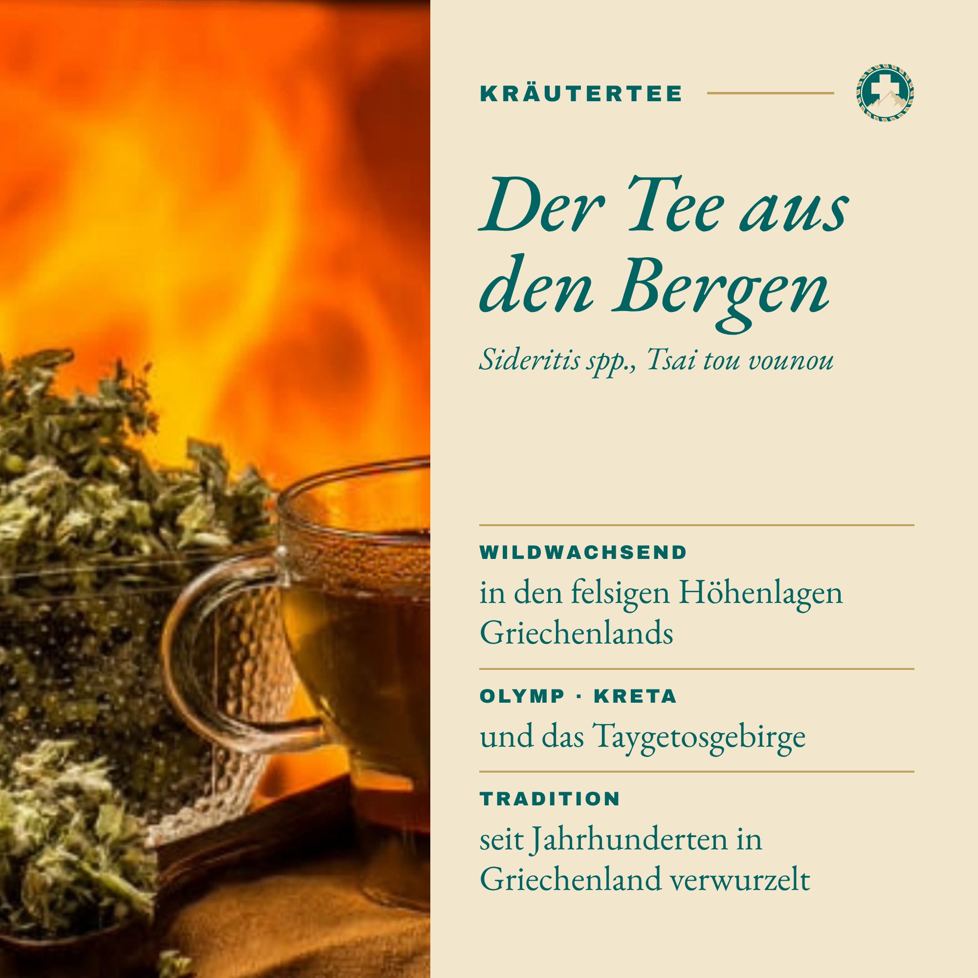 Griechischer Bergtee: Der Tee aus den Bergen