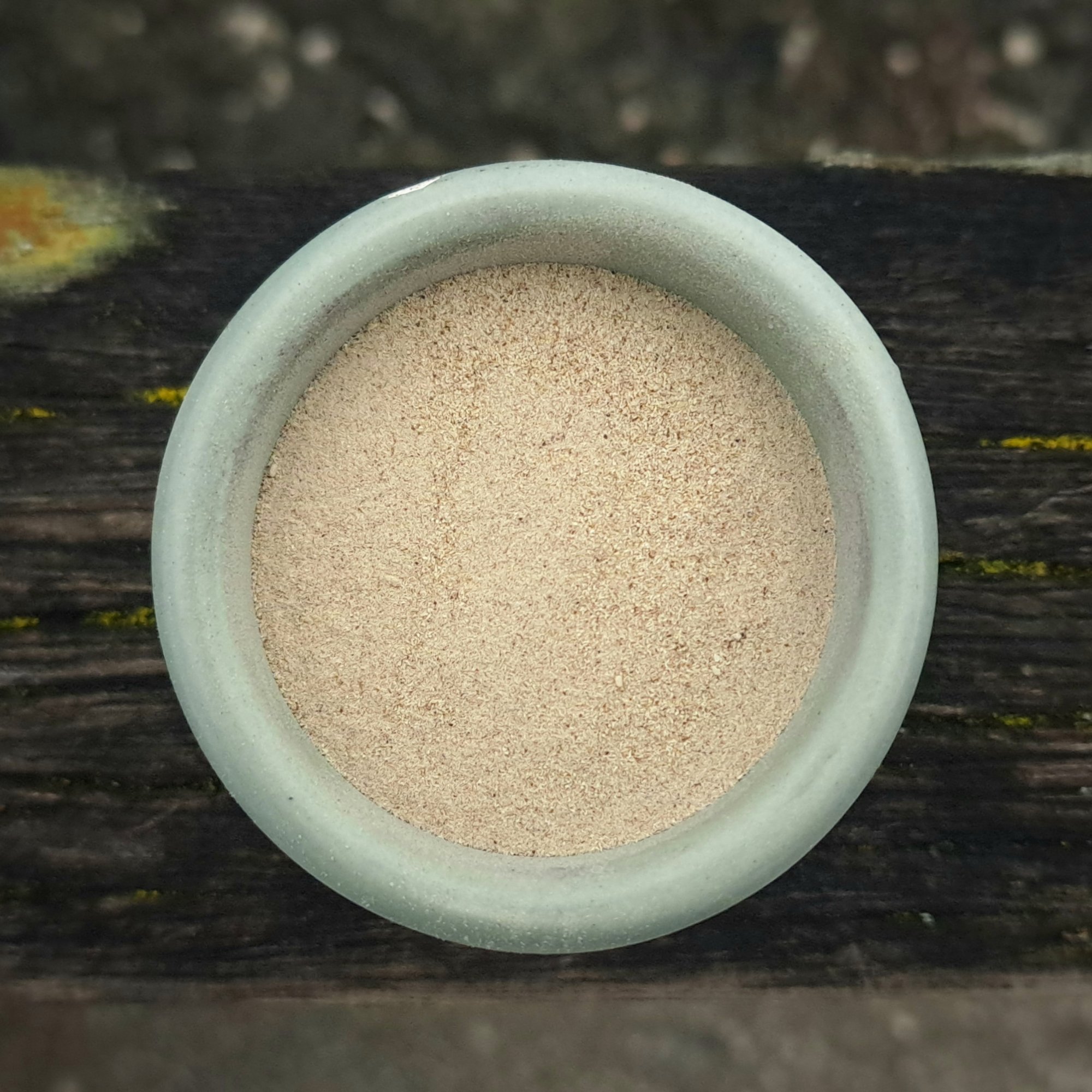Löwenzahnwurzel Pulver, 50 g – Kräuterparadies seit 1887