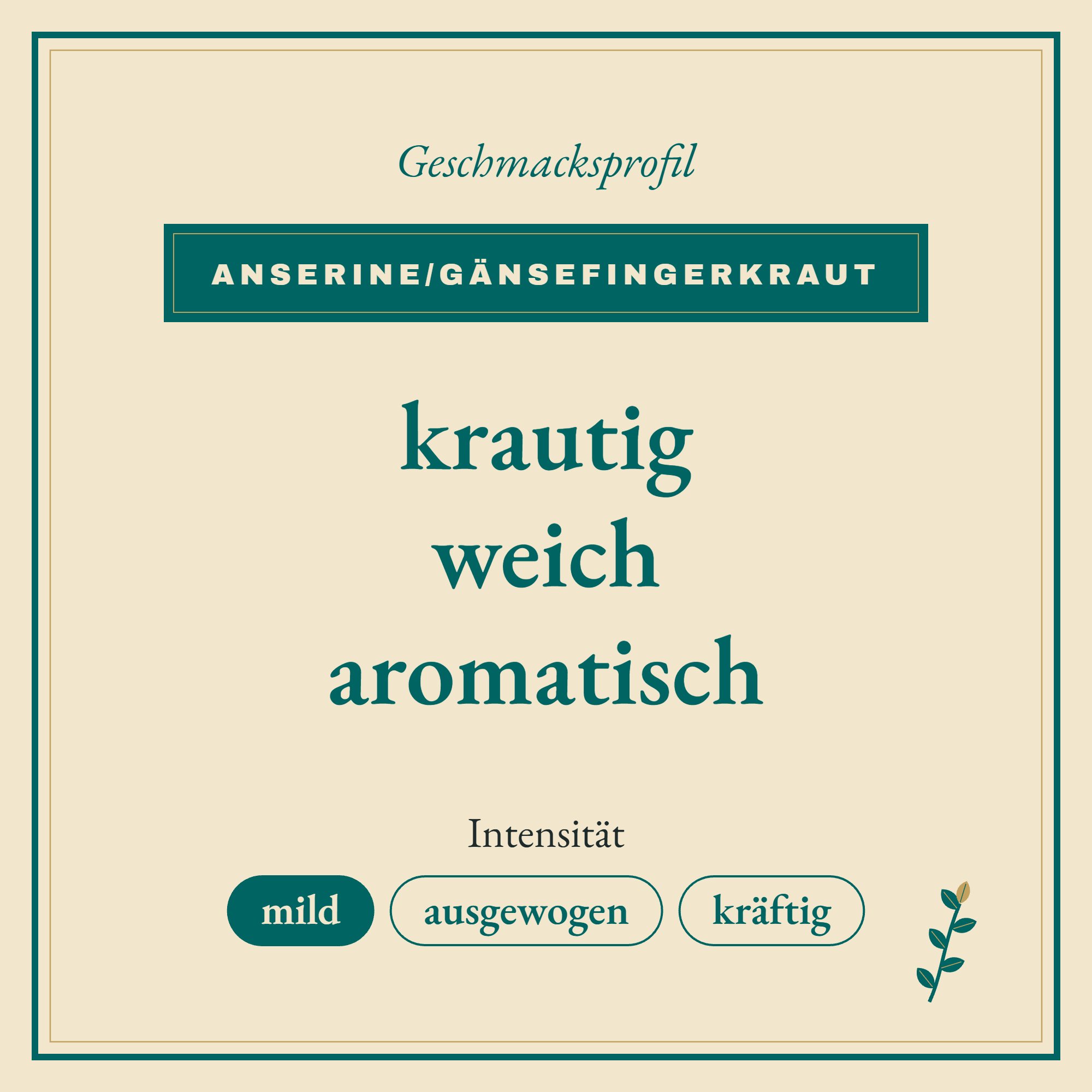 Geschmacksprofil Anserine/Gänsefingerkraut: krautig, weich und aromatisch