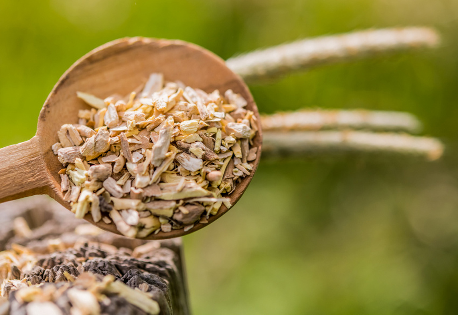 Ashwagandha-