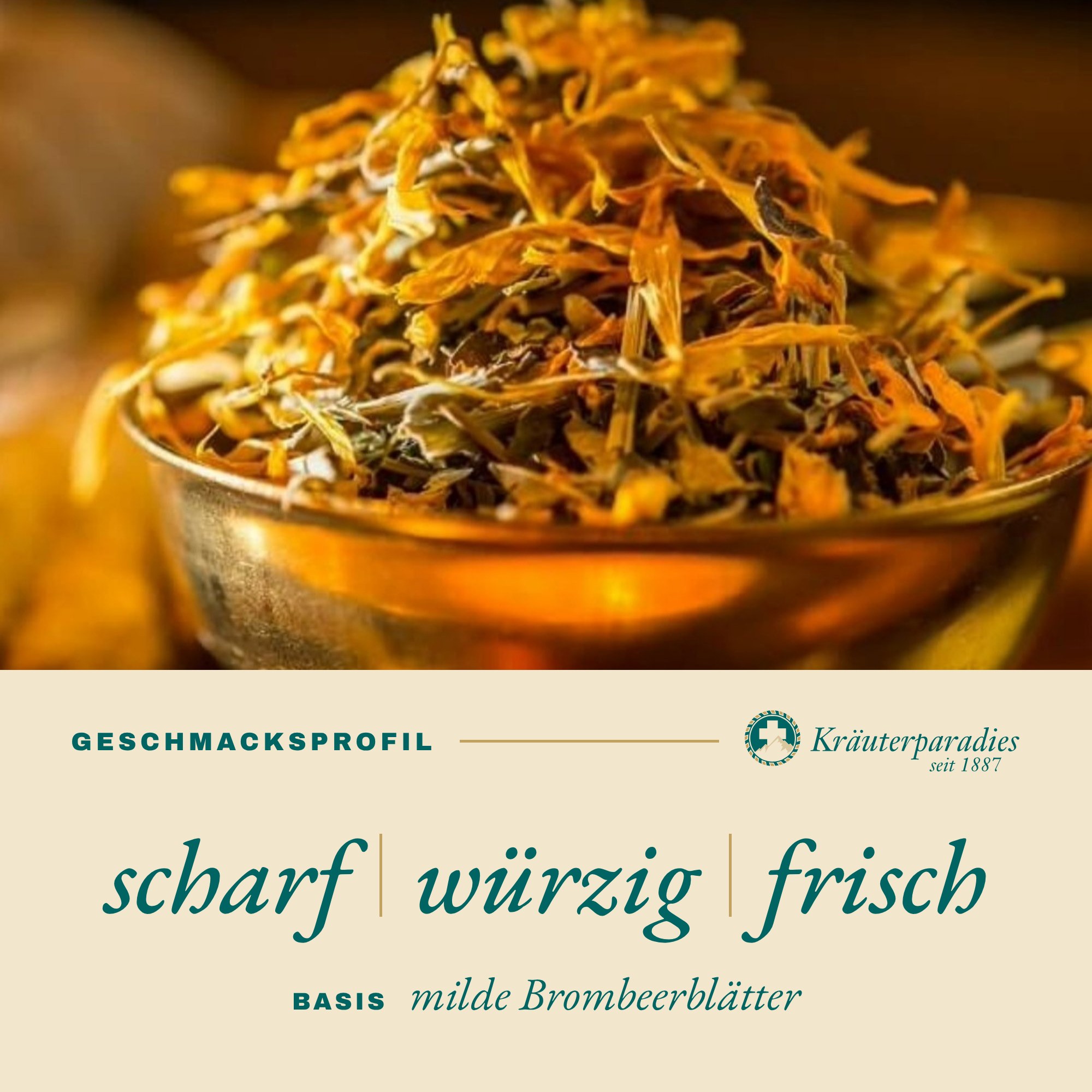 Ingwer Kräuter Tee Geschmacksprofil: scharf, würzig, frisch