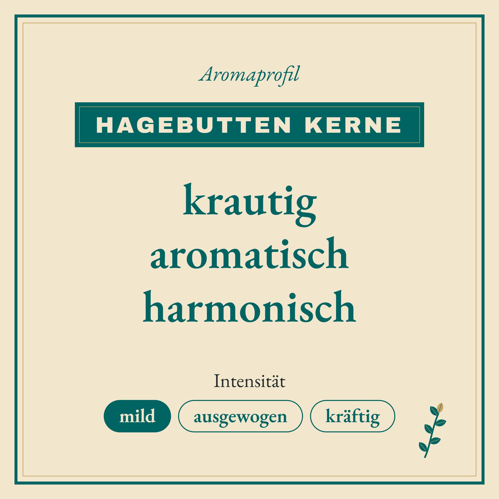 Aromaprofil Hagebutten Kerne: krautig, aromatisch und harmonisch