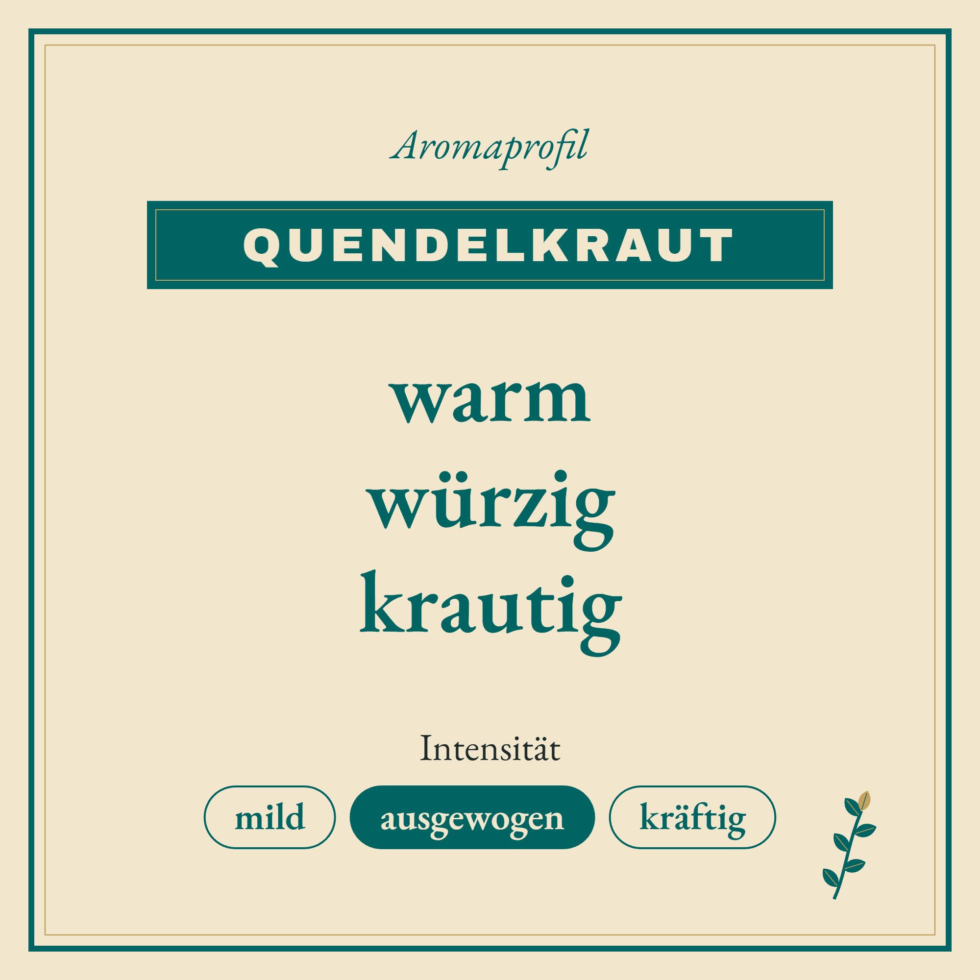 Aromaprofil Quendelkraut: warm, würzig und krautig