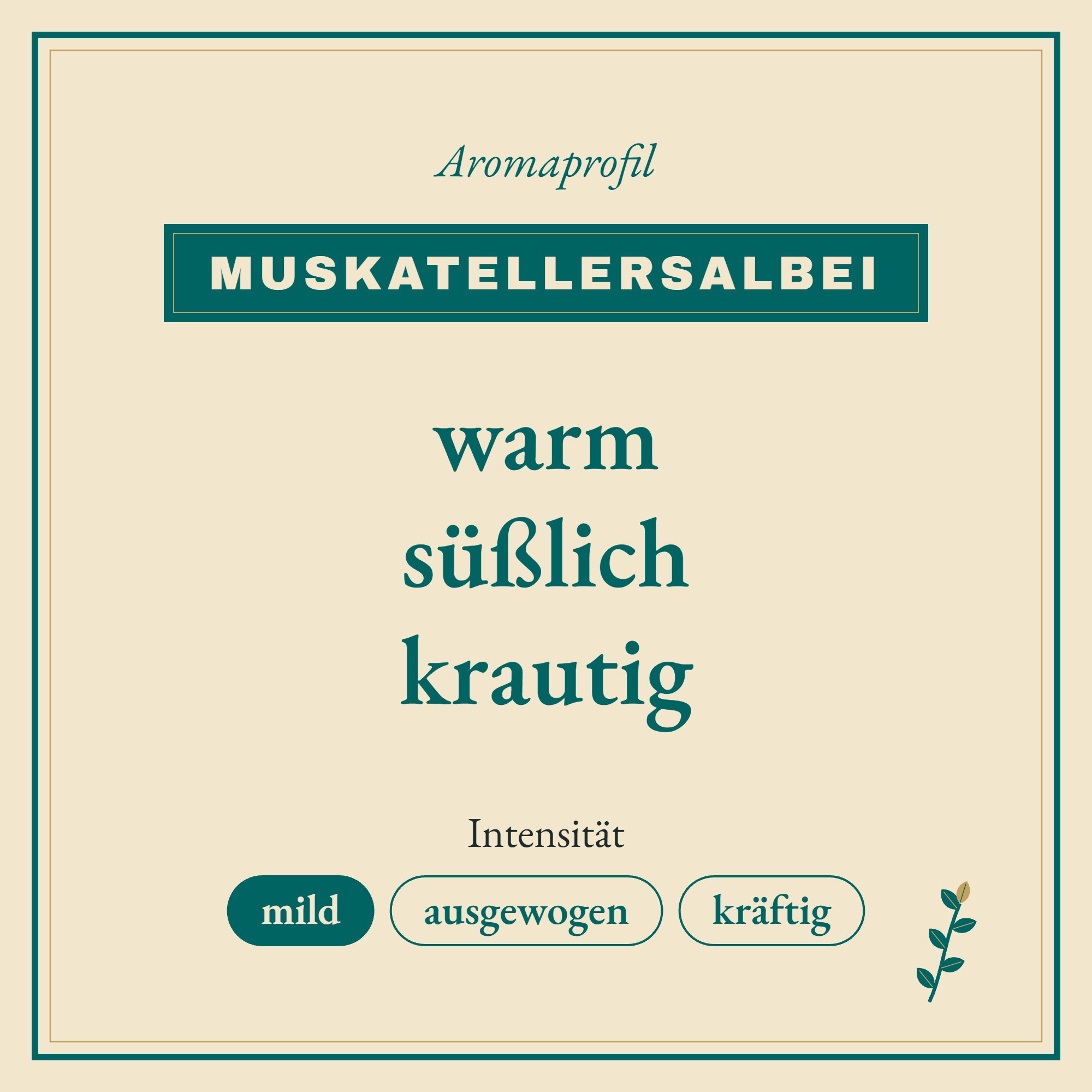 Aromaprofil Muskatellersalbei: warm, süßlich und krautig
