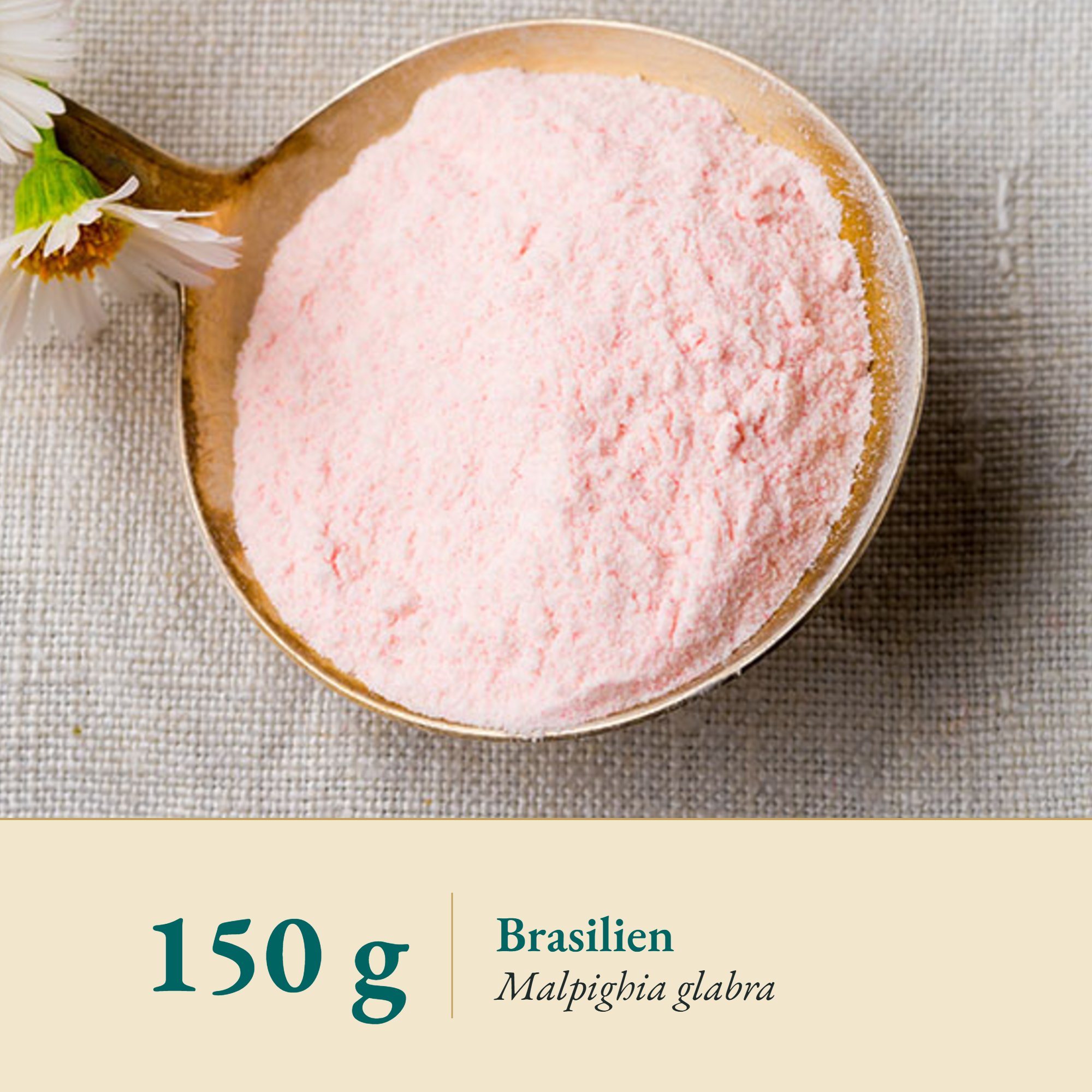 Nahaufnahme Acerola Pulver aus Brasilien – Kräuterparadies seit 1887