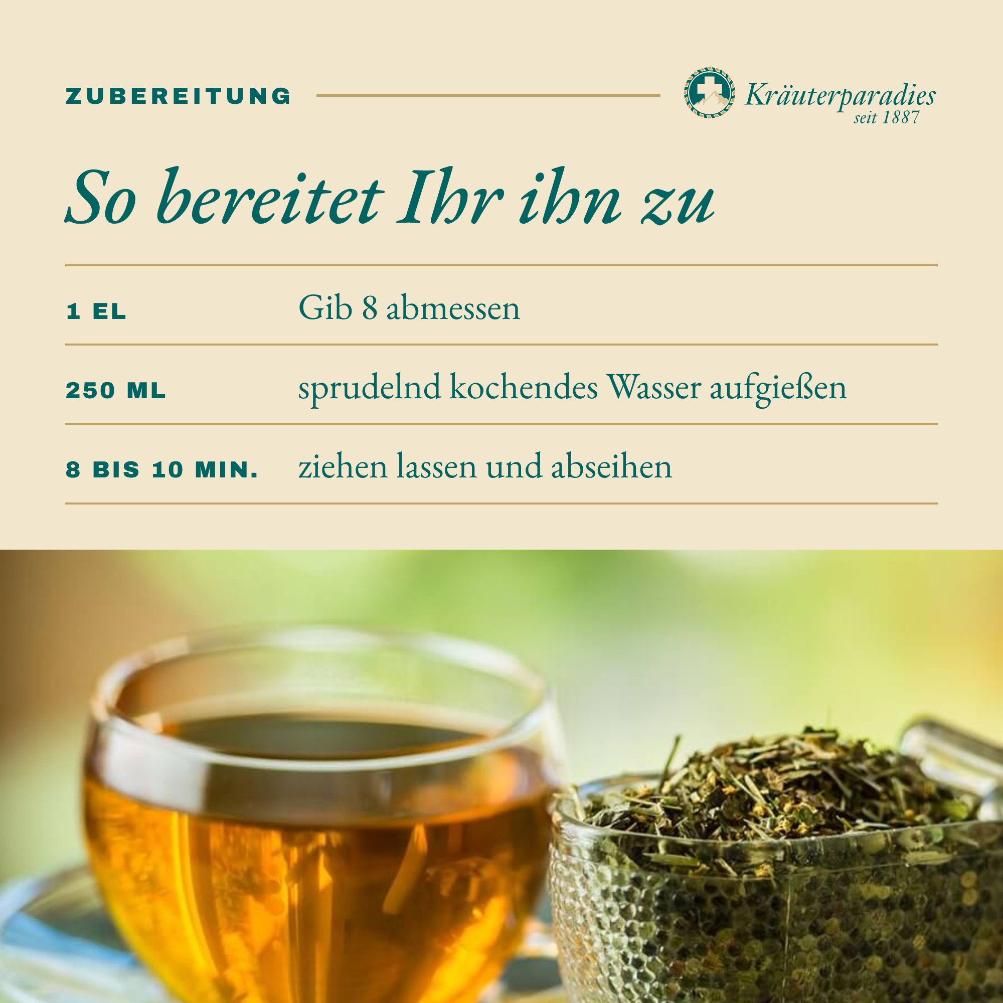 Gib 8: So bereitet Ihr ihn zu