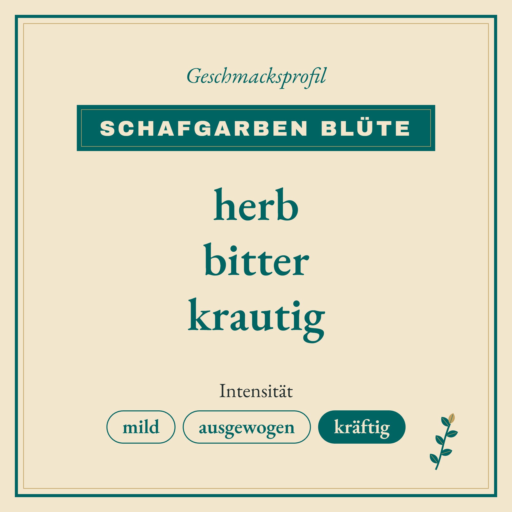 Geschmacksprofil Schafgarbenblüte: herb, bitter und krautig