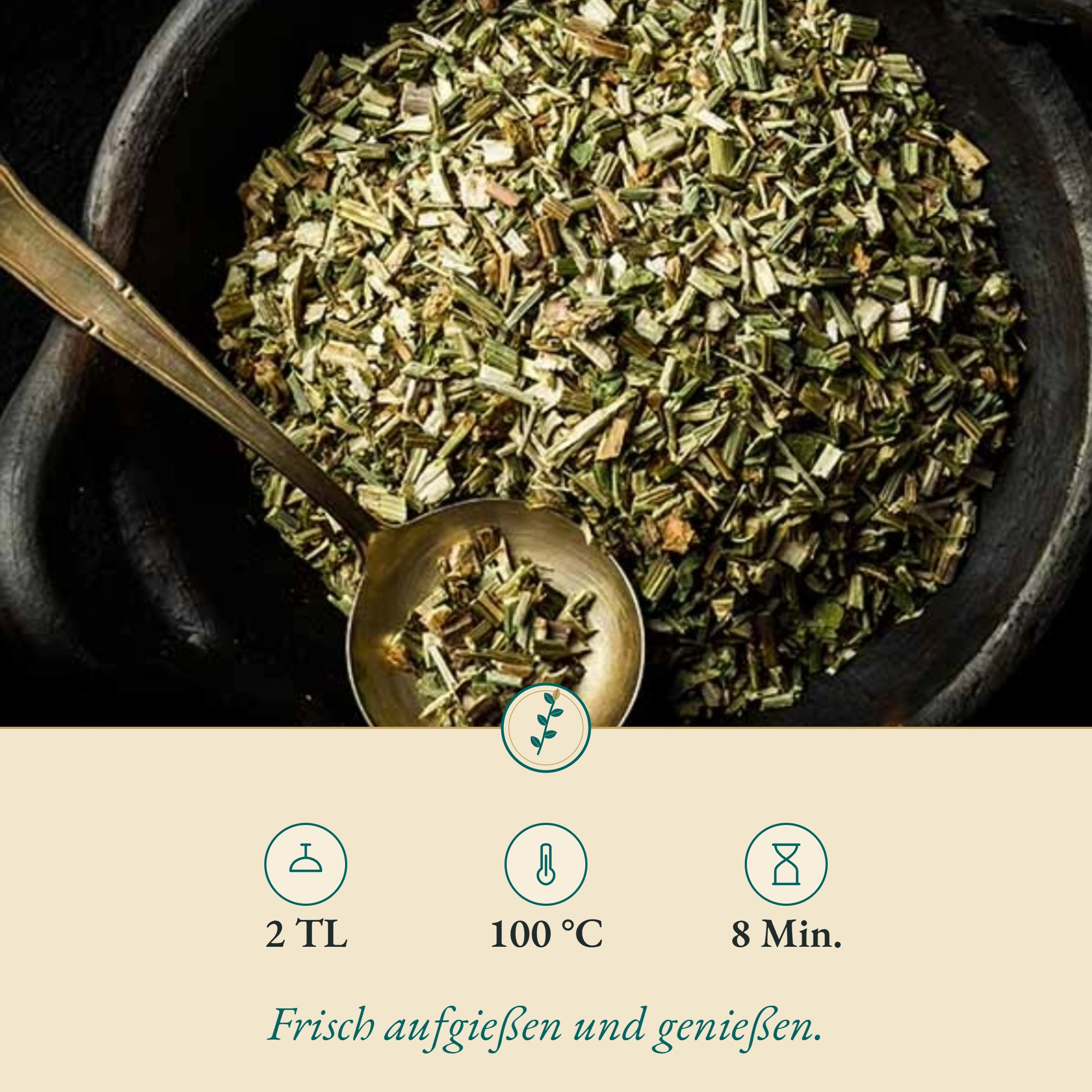 Zubereitung Wegwartkraut: 2 TL, 100 °C, 8 Min.