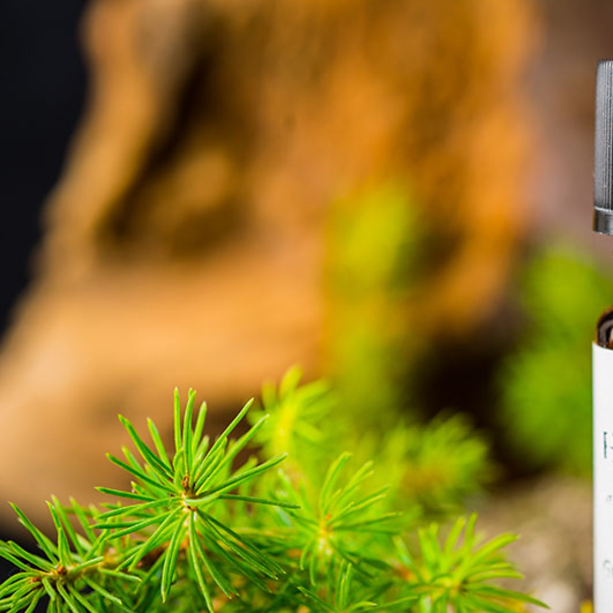 Herzensyoga, 10 ml – Kräuterparadies seit 1887