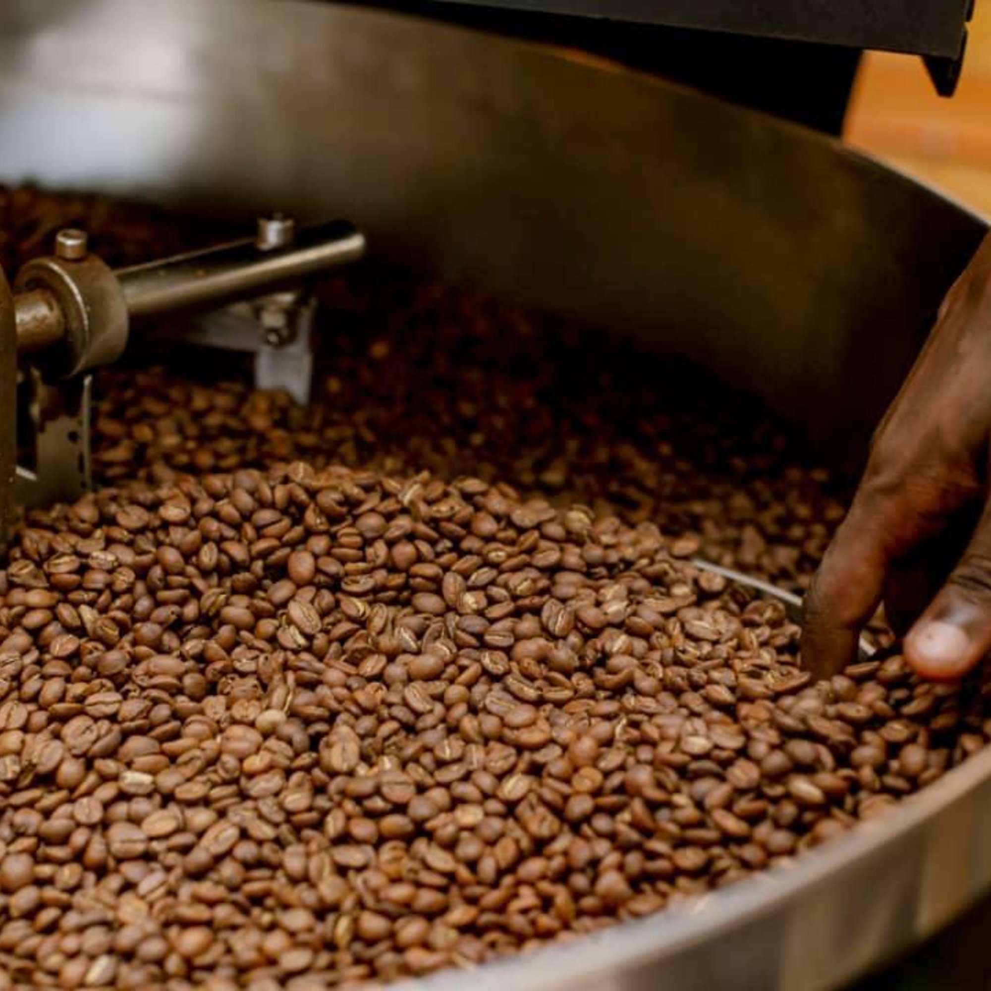 Eichelkaffee geröstet, 250 g – Kräuterparadies seit 1887