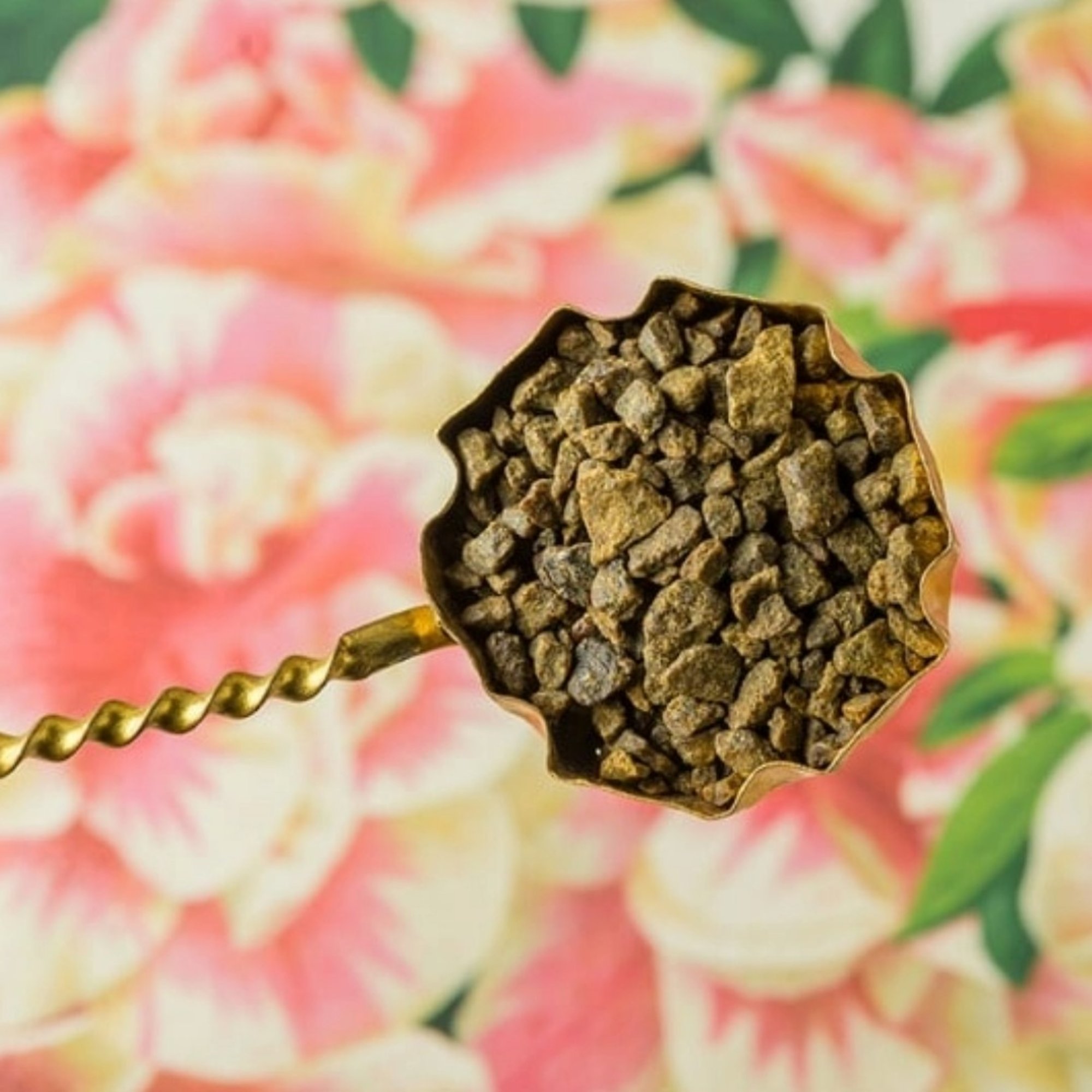Propolis-Granulat -Kittharz, 16 g – Kräuterparadies seit 1887