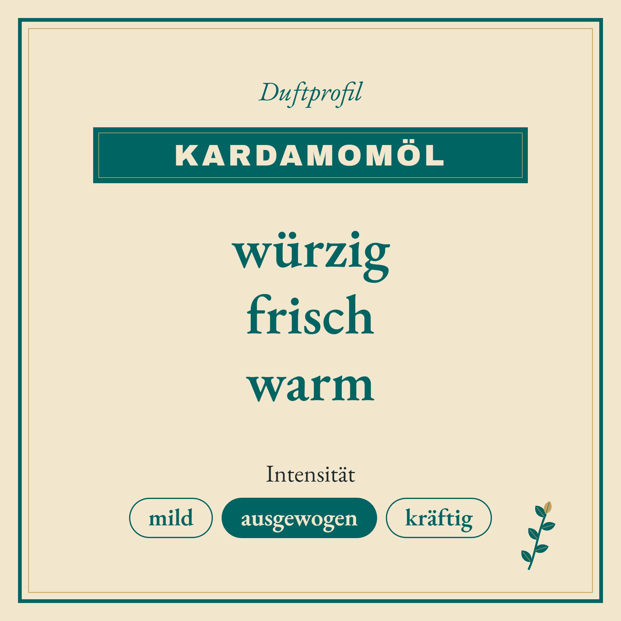 Duftprofil Kardamomöl: würzig, frisch und warm