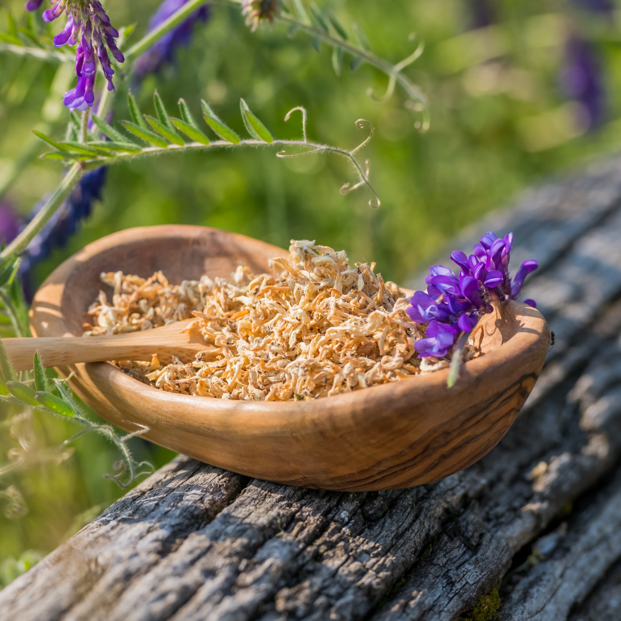 Taubnesselkraut weiß, 20 g – Kräuterparadies seit 1887