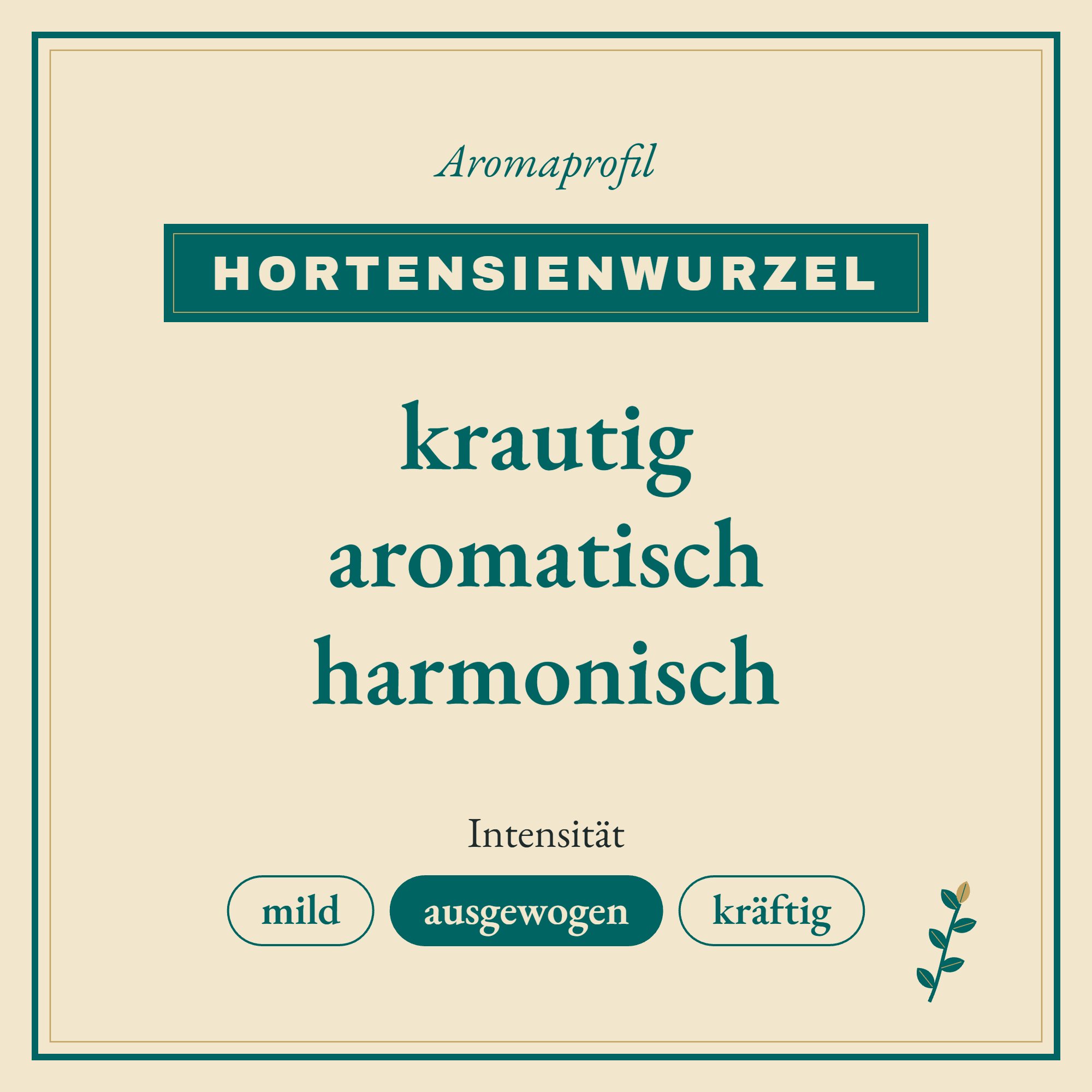 Aromaprofil Hortensienwurzel: krautig, aromatisch und harmonisch