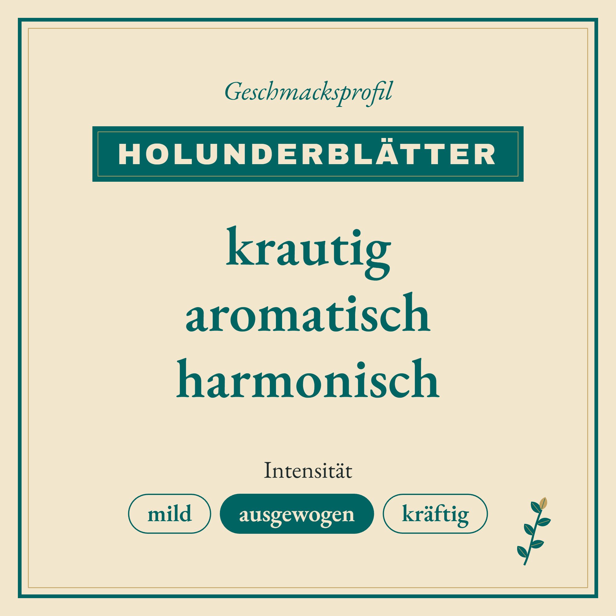 Geschmacksprofil Holunderblätter: krautig, aromatisch und harmonisch