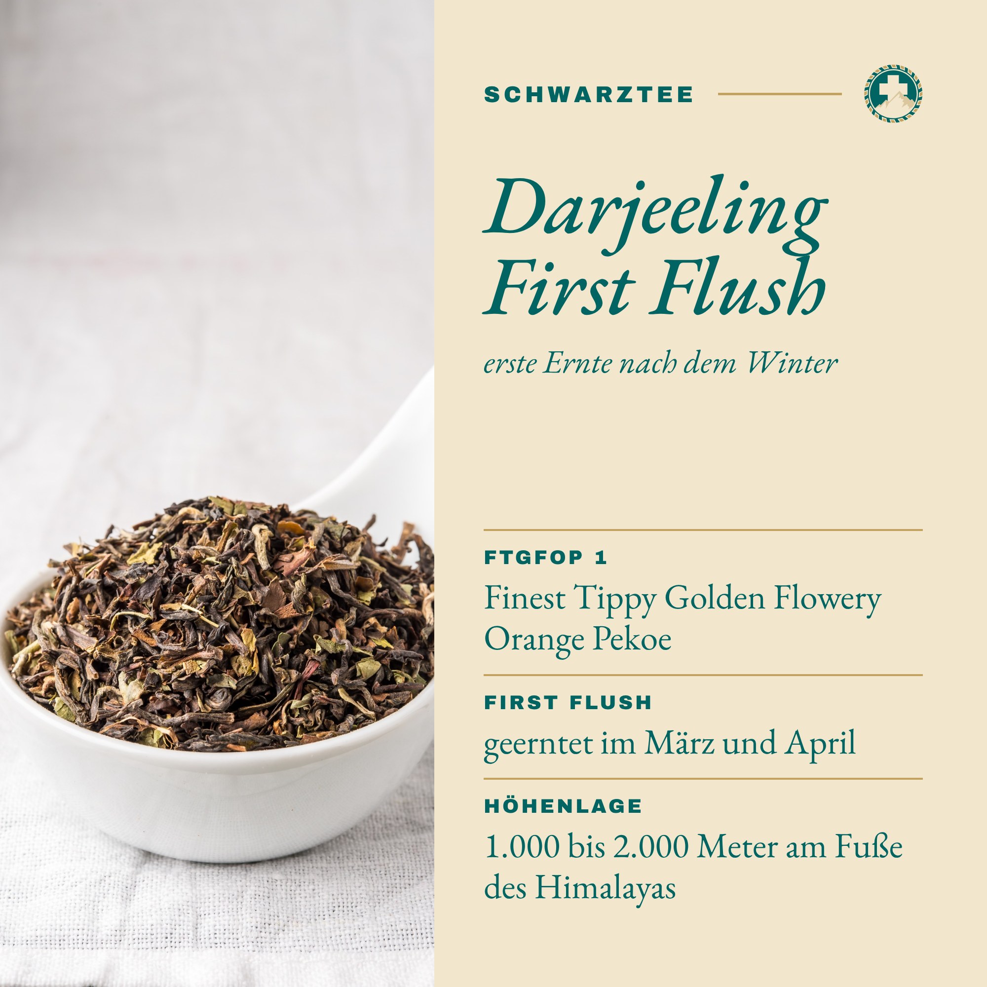 Darjeeling Schwarztee: Darjeeling First Flush
