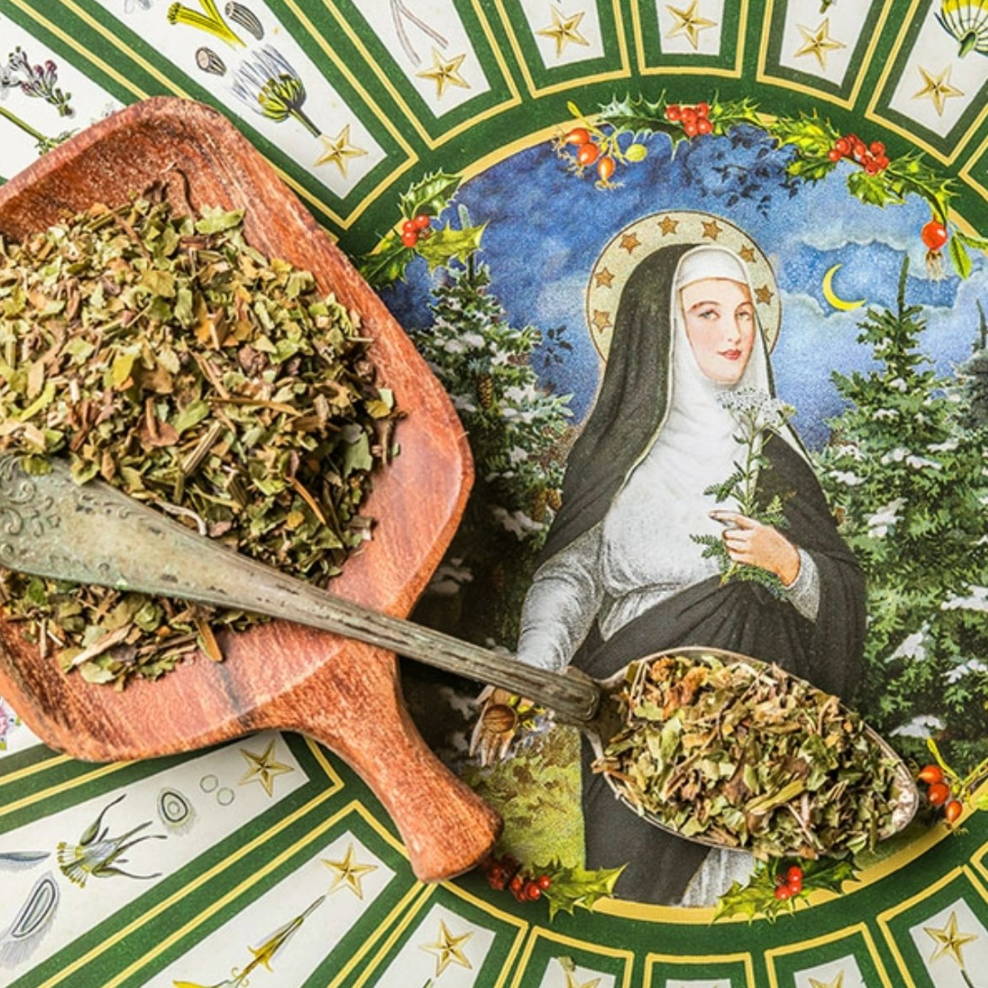 Sanikel/Heiligenkraut, 20 g – Kräuterparadies seit 1887