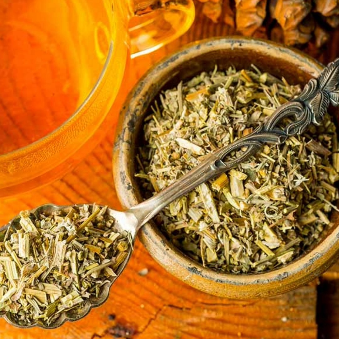 Wermutkraut