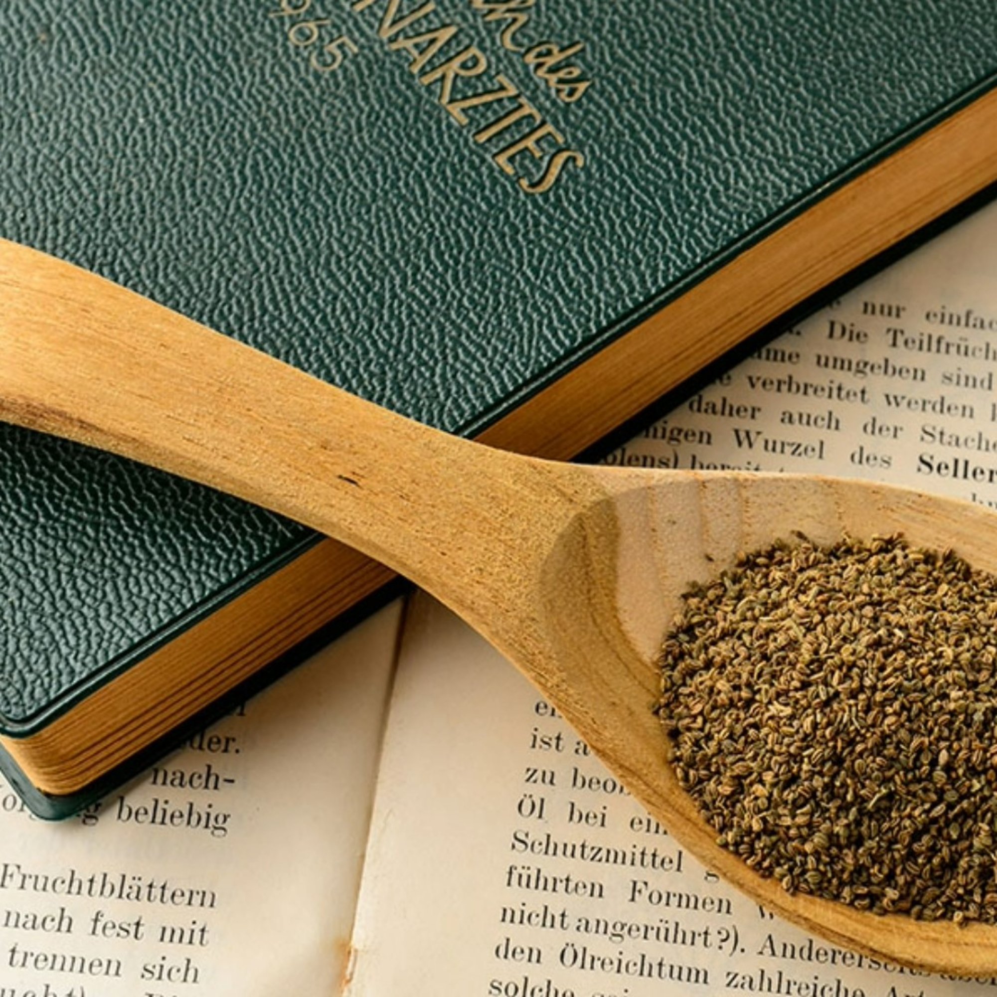 Selleriesamen, 20 g – Kräuterparadies seit 1887