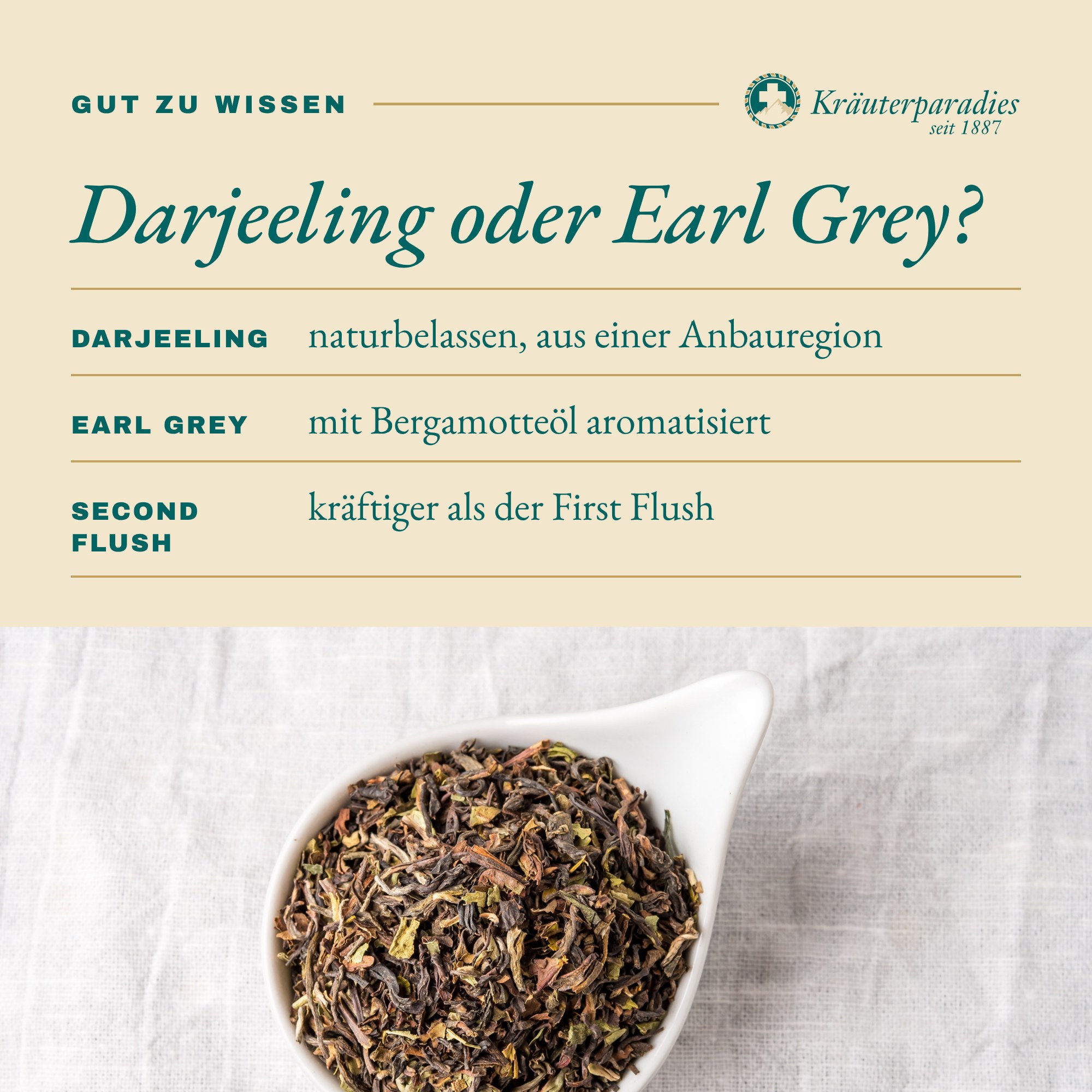 Darjeeling Schwarztee: Darjeeling oder Earl Grey?