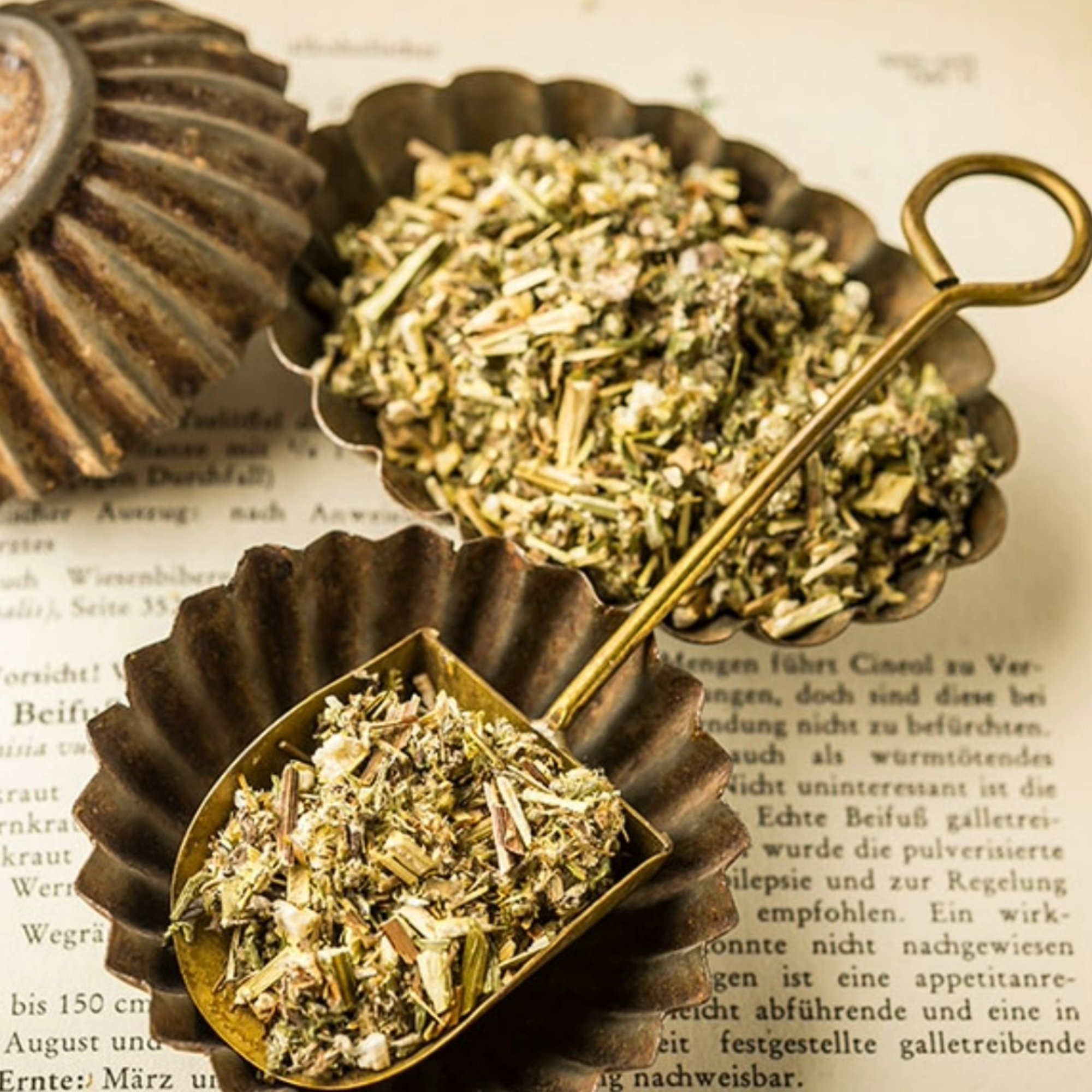 Beifußkraut, 20 g – Kräuterparadies seit 1887