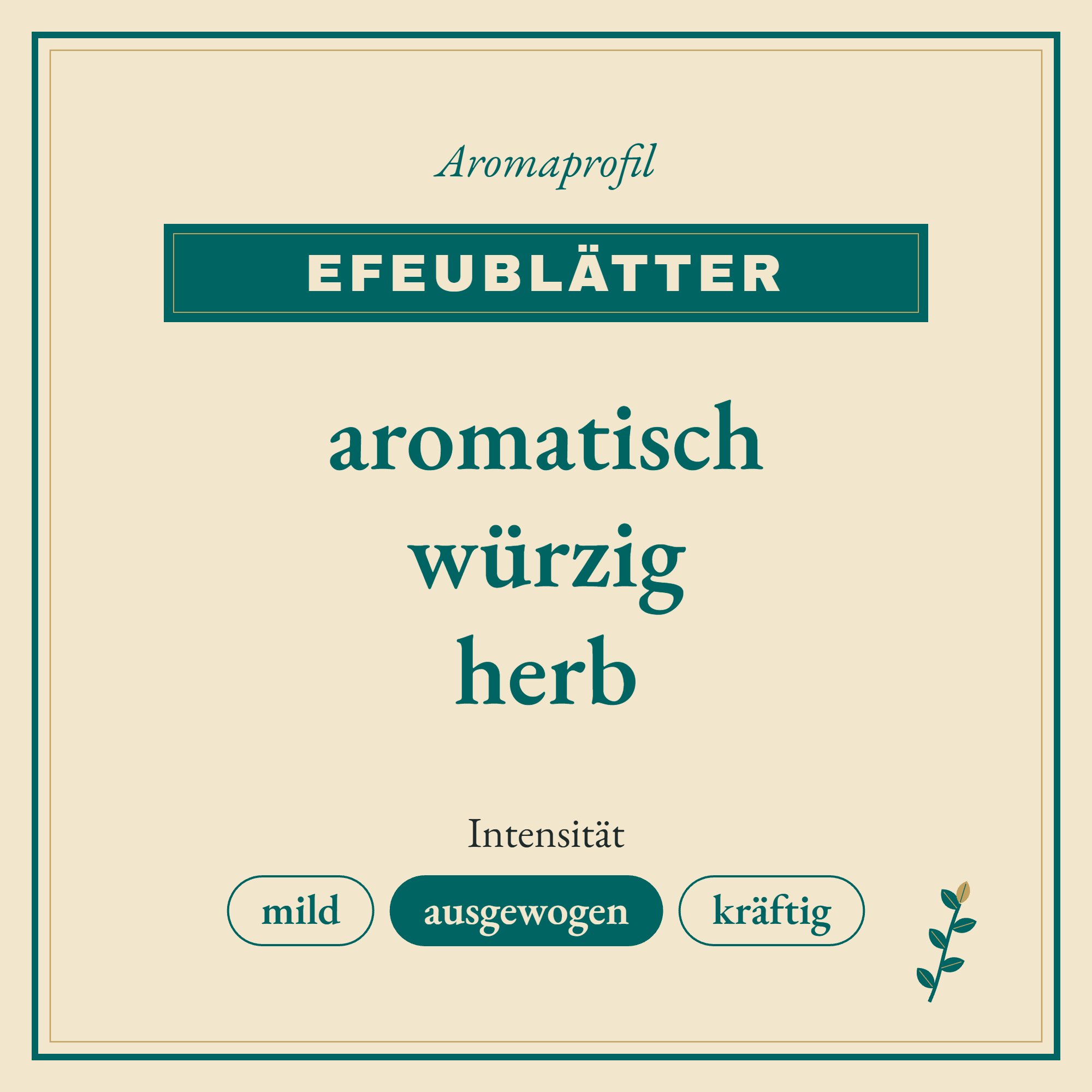 Aromaprofil Efeublätter: aromatisch, würzig und herb