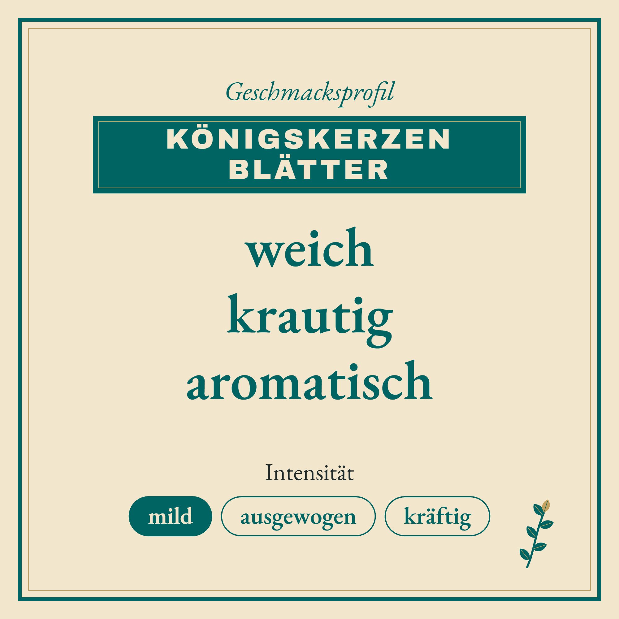 Geschmacksprofil Königskerzen Blätter: weich, krautig und aromatisch
